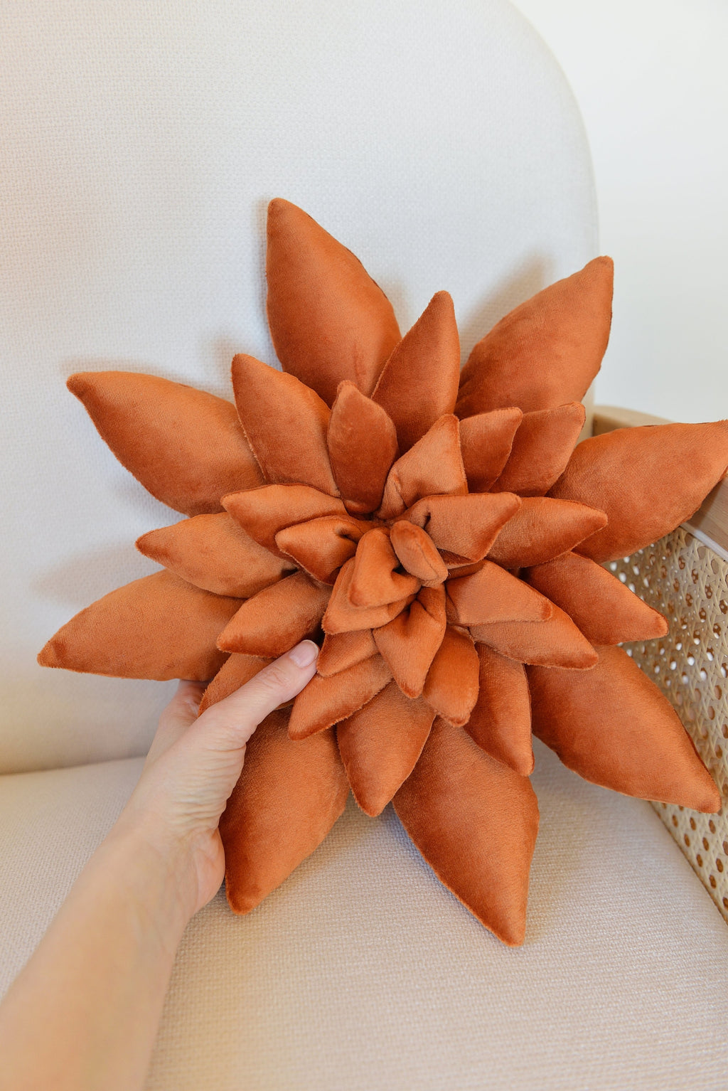 Succulent Decor Pillow