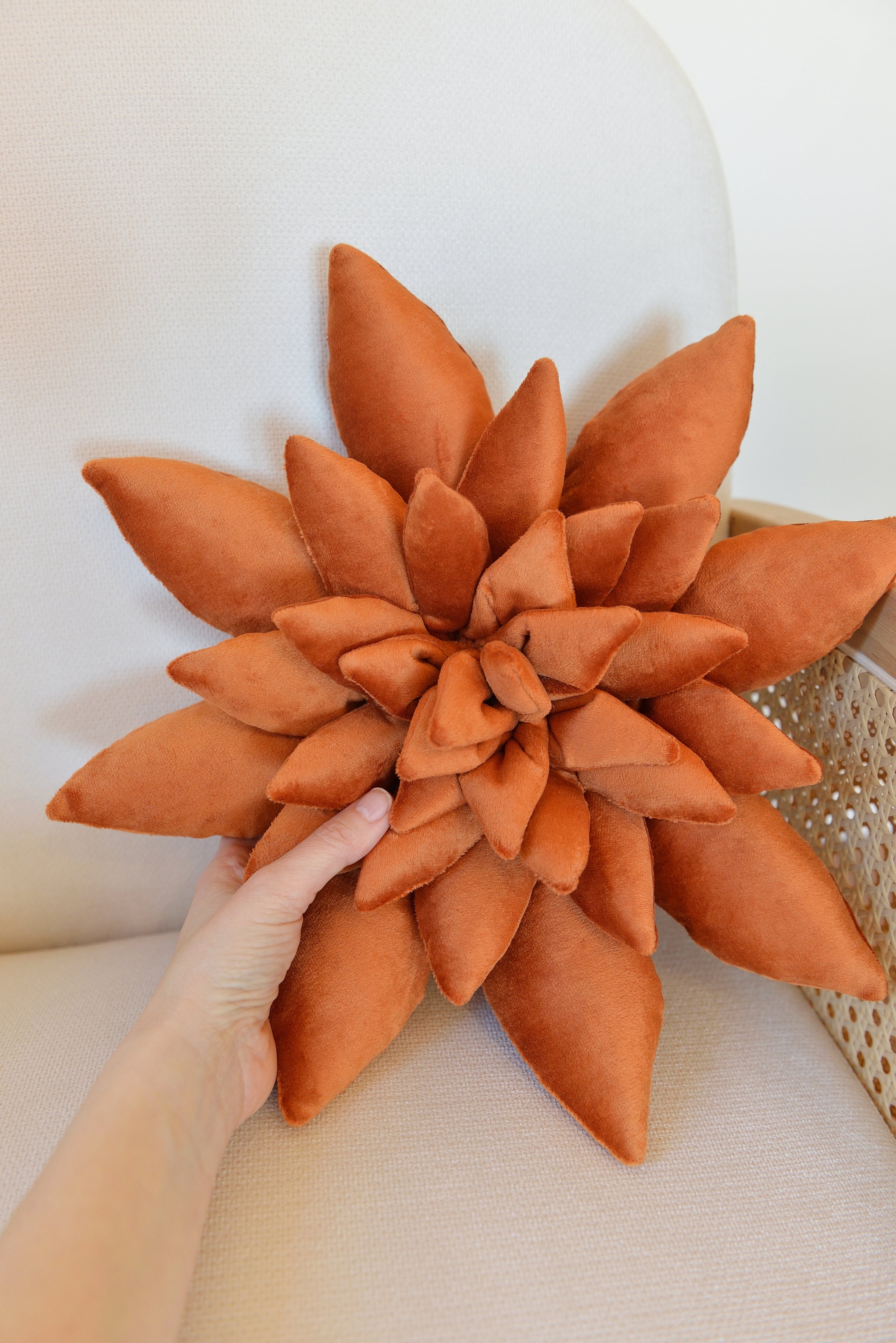 Succulent Decor Pillow