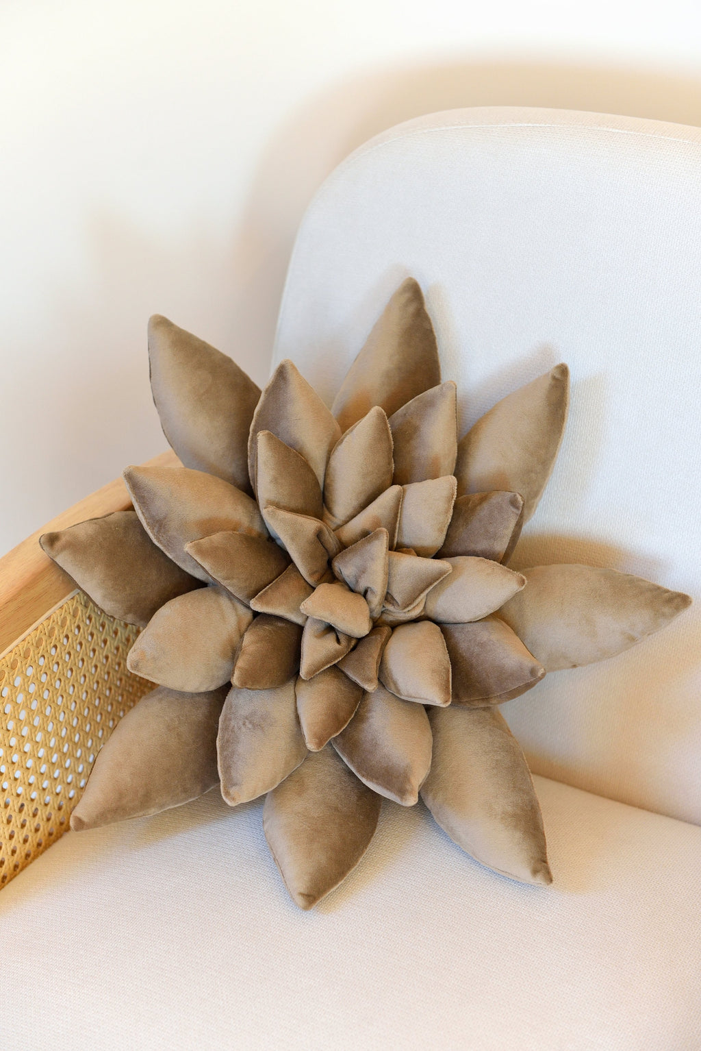 Succulent Decor Pillow