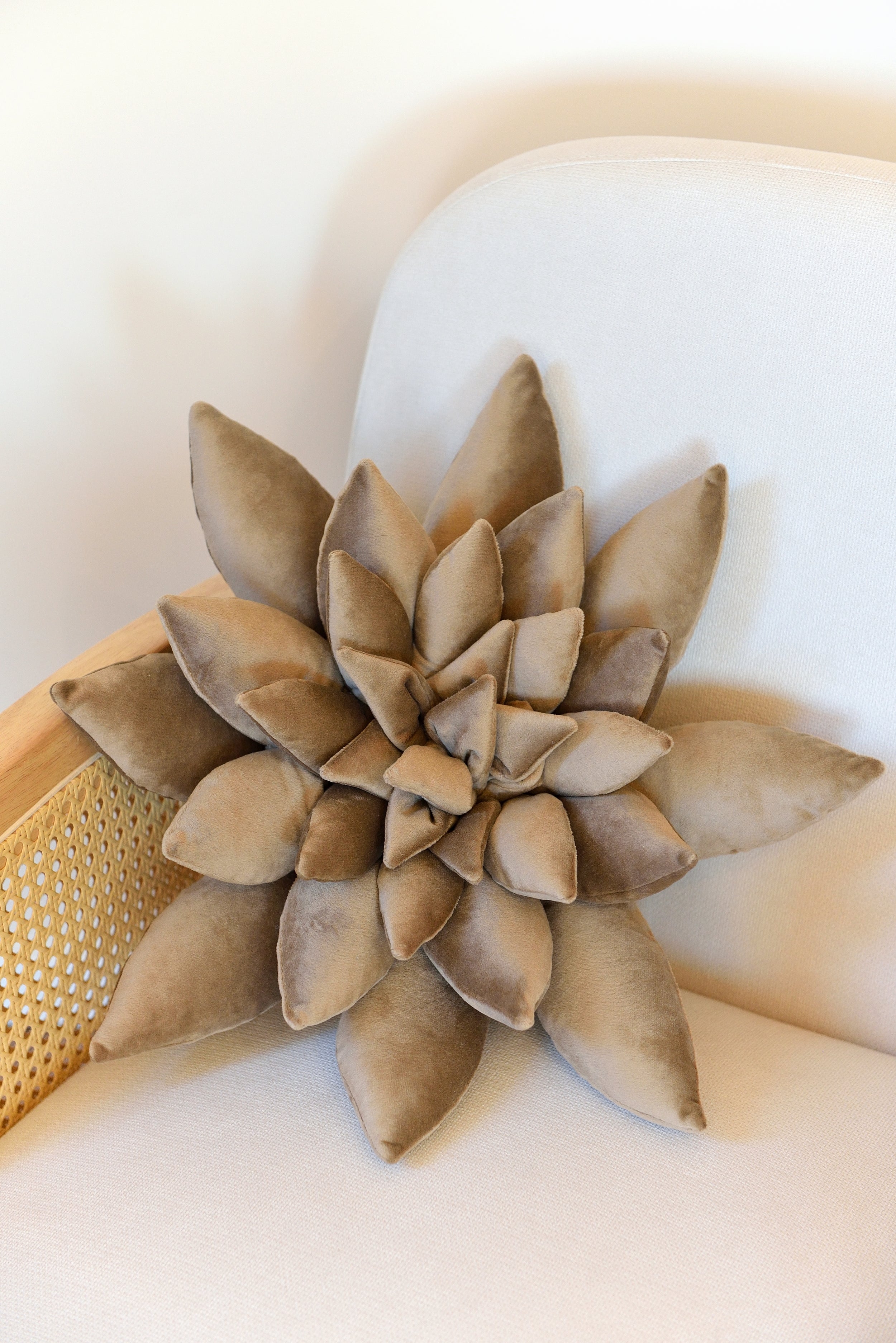 Succulent Decor Pillow