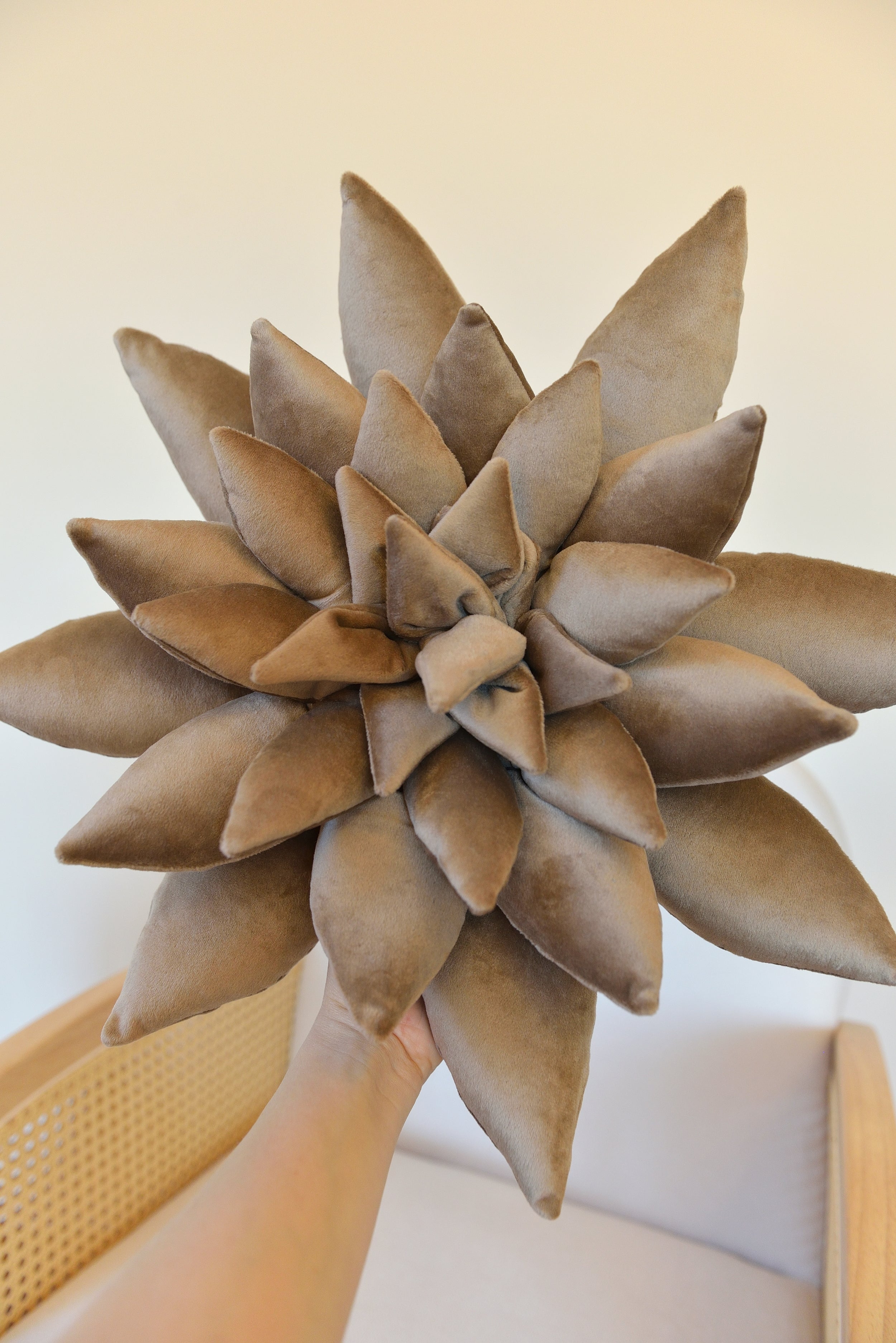 Succulent Decor Pillow
