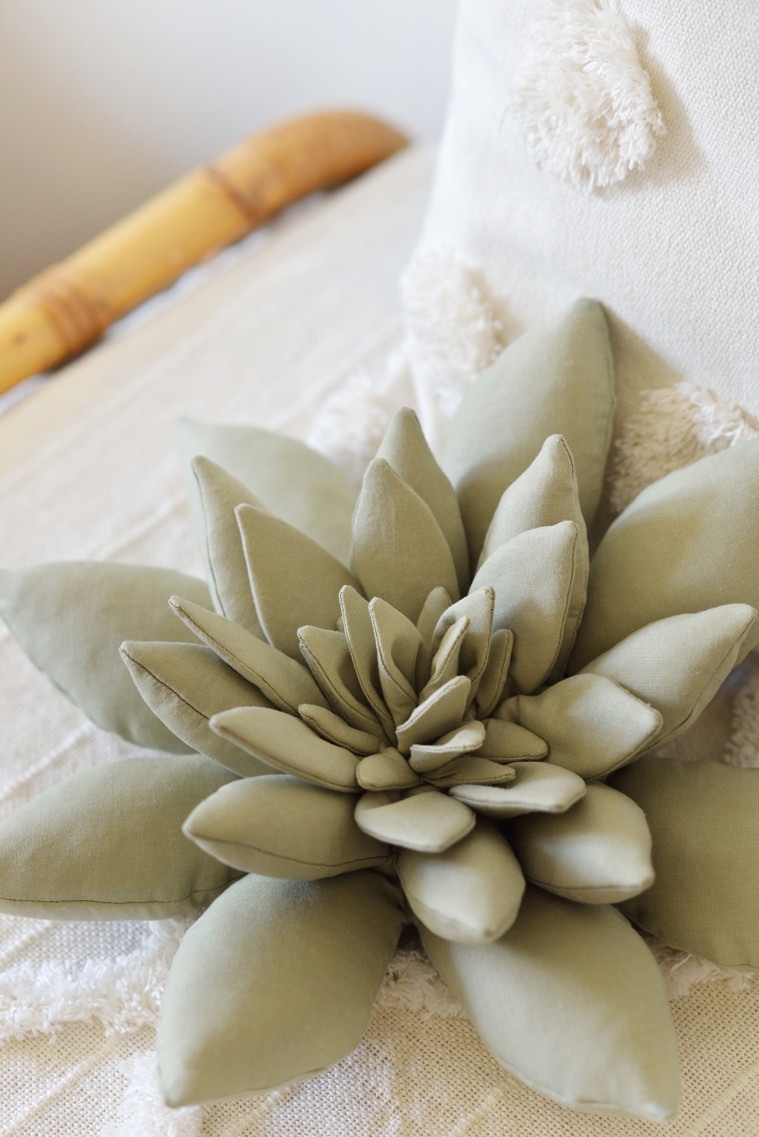Succulent Decor Pillow