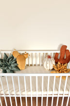 Cactus Pillow Set