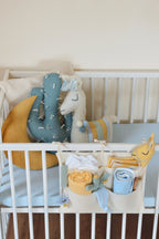 Llama Pillow Set