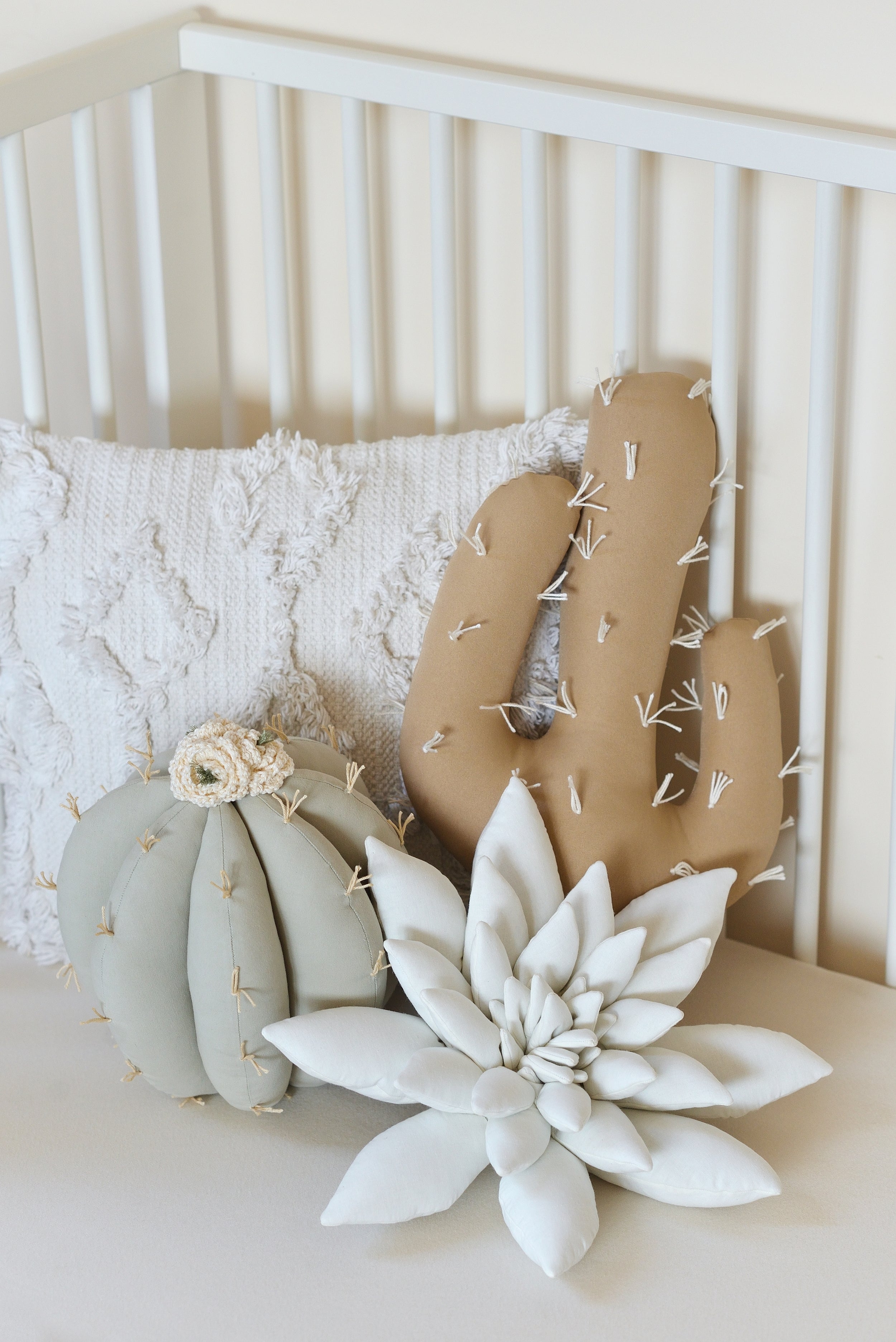 Cactus Pillow Set
