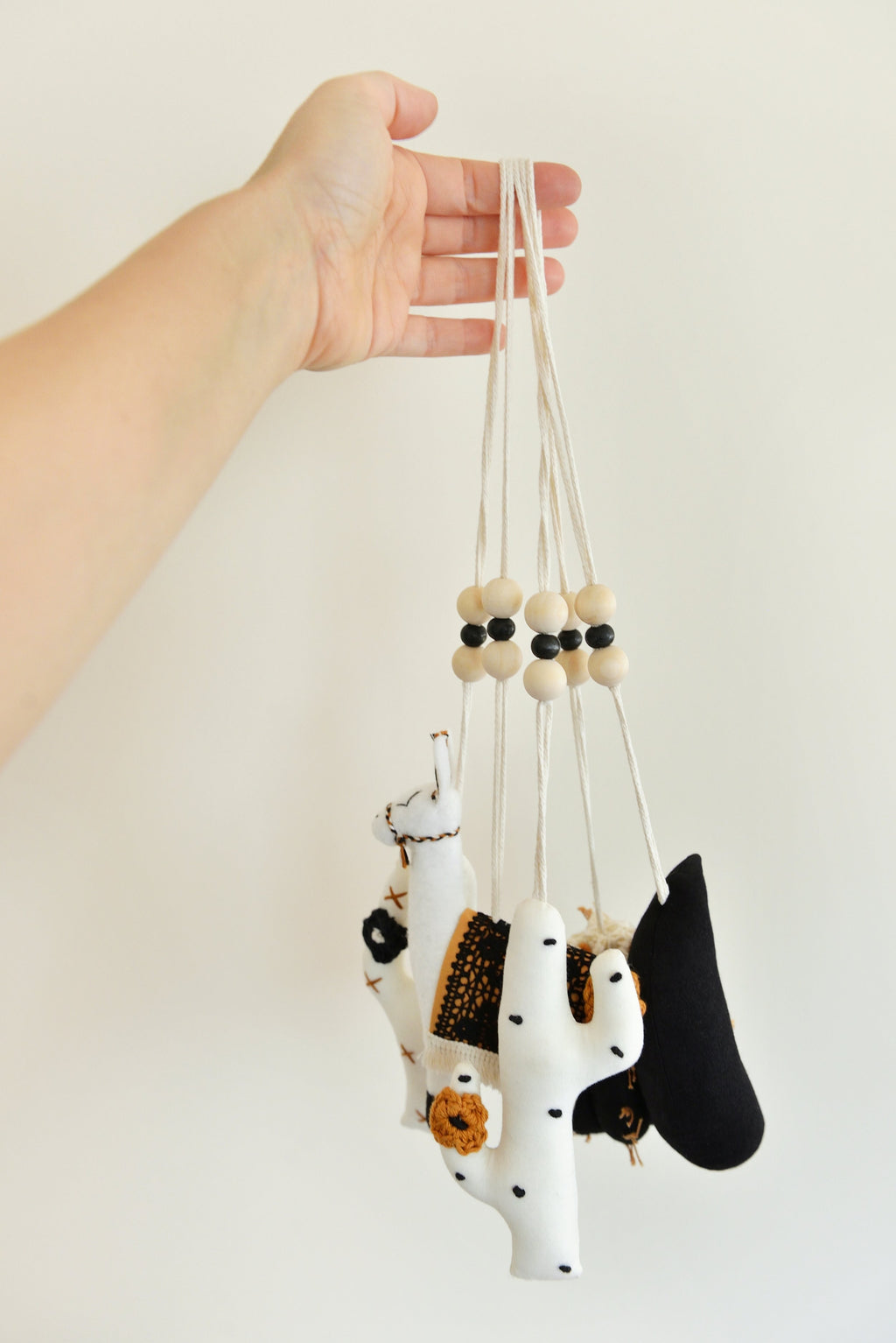 Desert Play Gym Toys