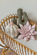 Cactus Pillow Set