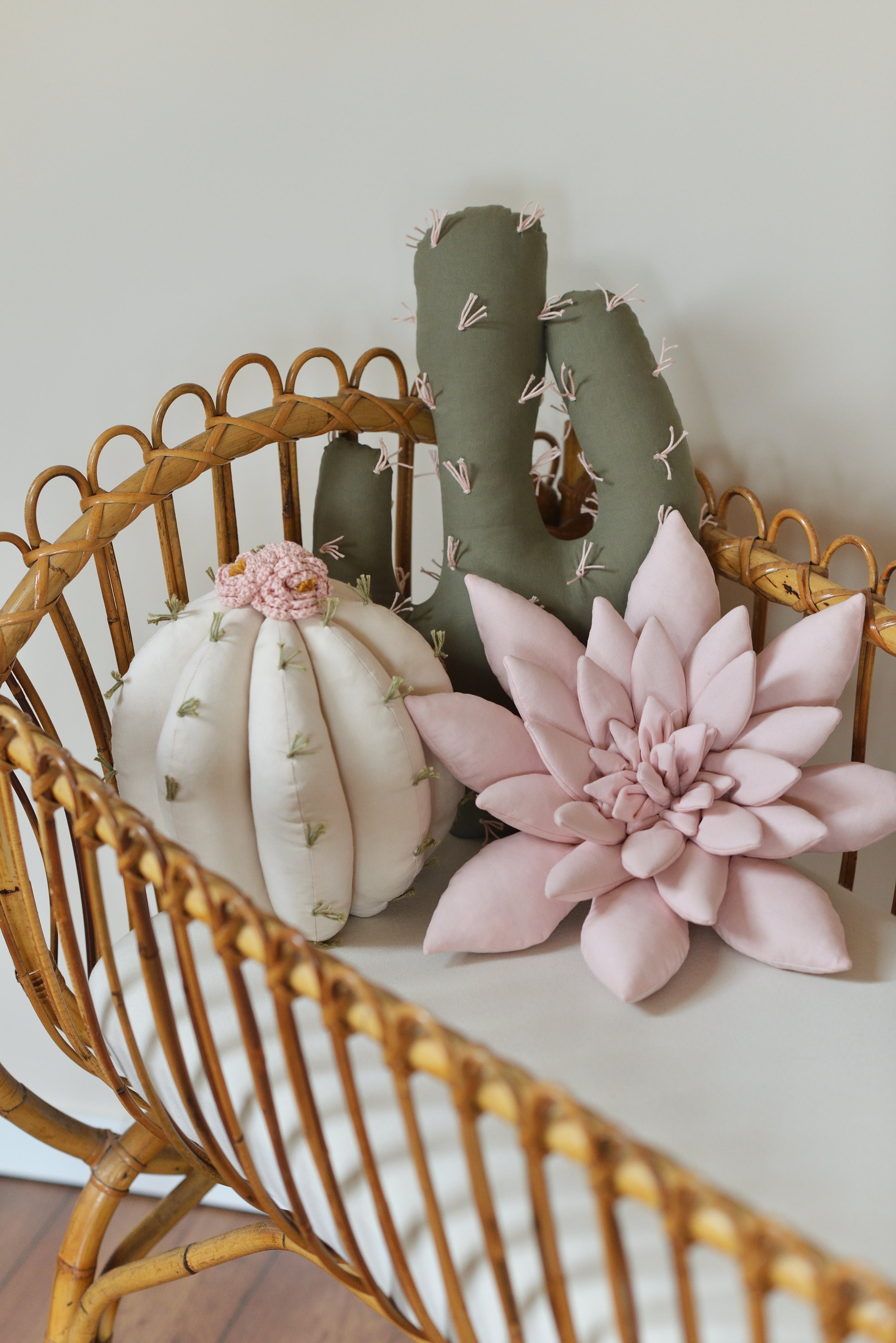 Cactus Pillow Set