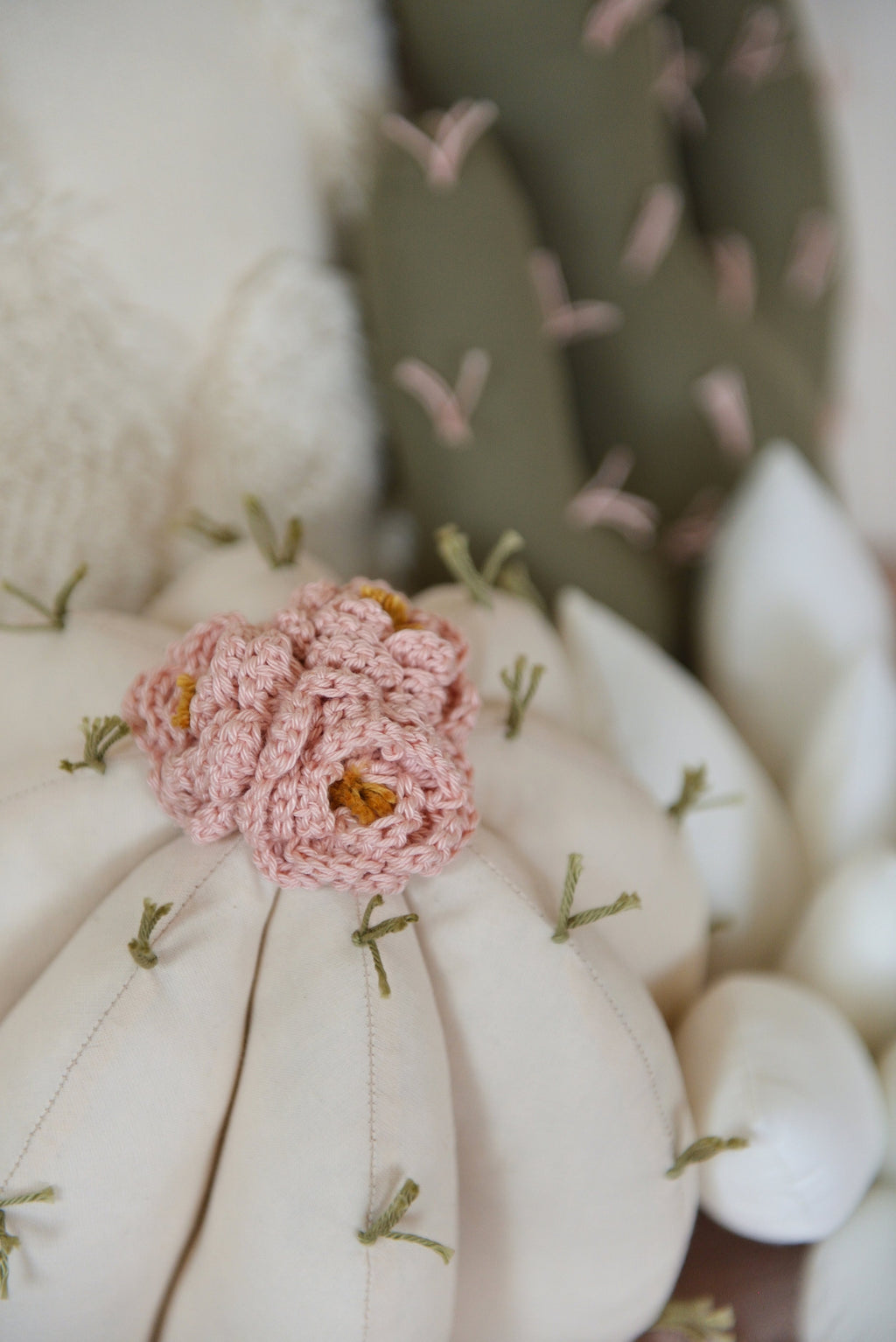 Cactus Pillow Set