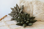 Succulent Decor Pillow