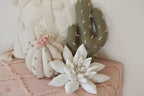Cactus Pillow Set