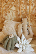 Cactus Pillow Set
