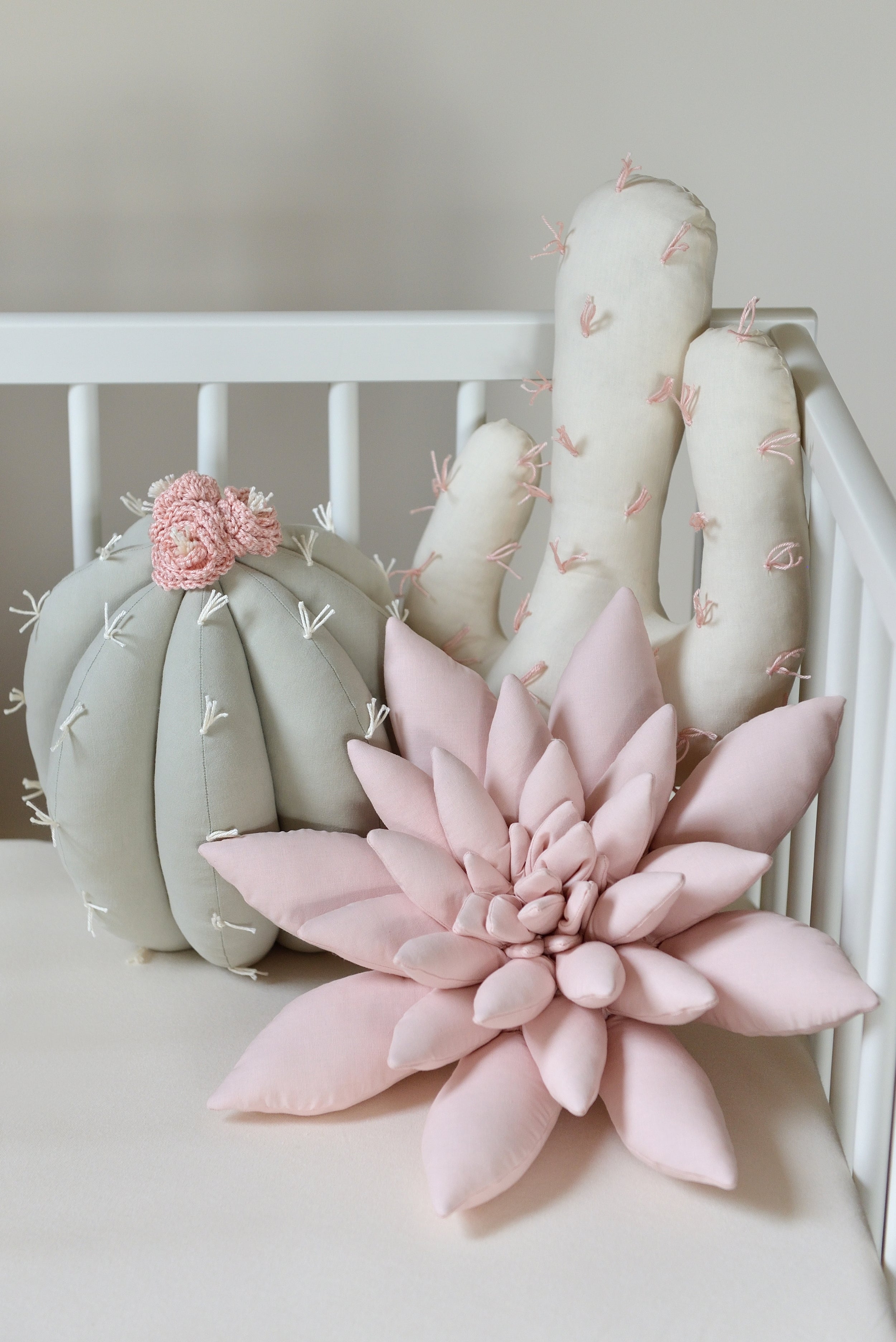 Cactus Pillow Set
