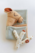 Camel Gift Set