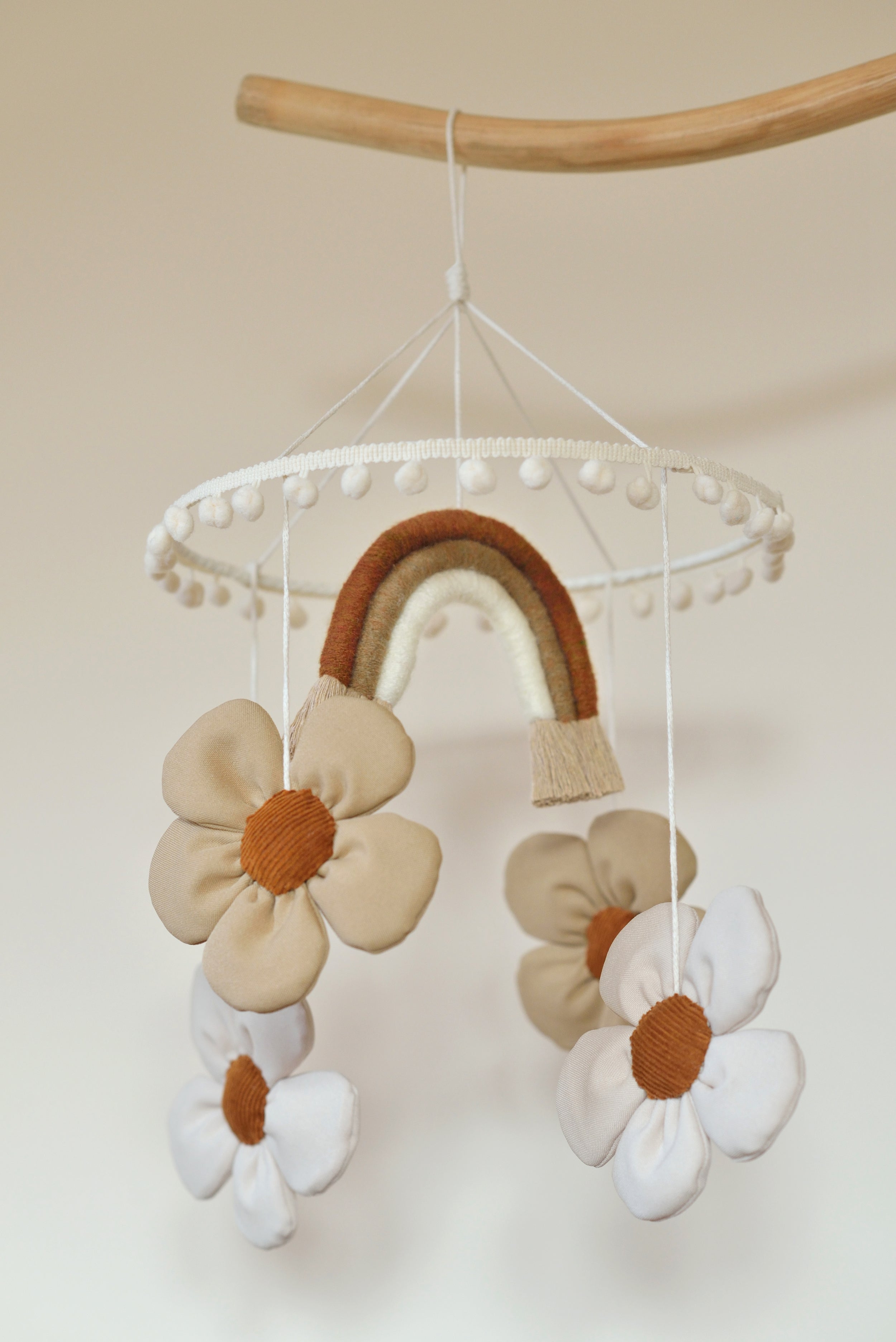 Daisy Decor Bundle