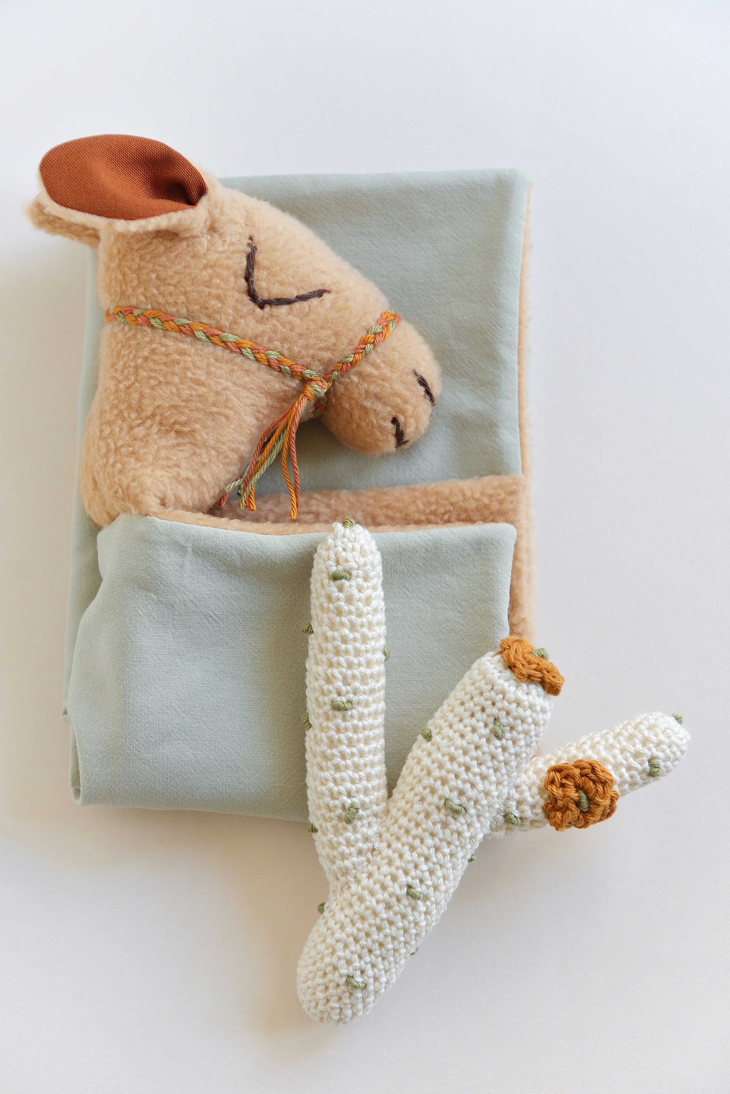 Camel Gift Set