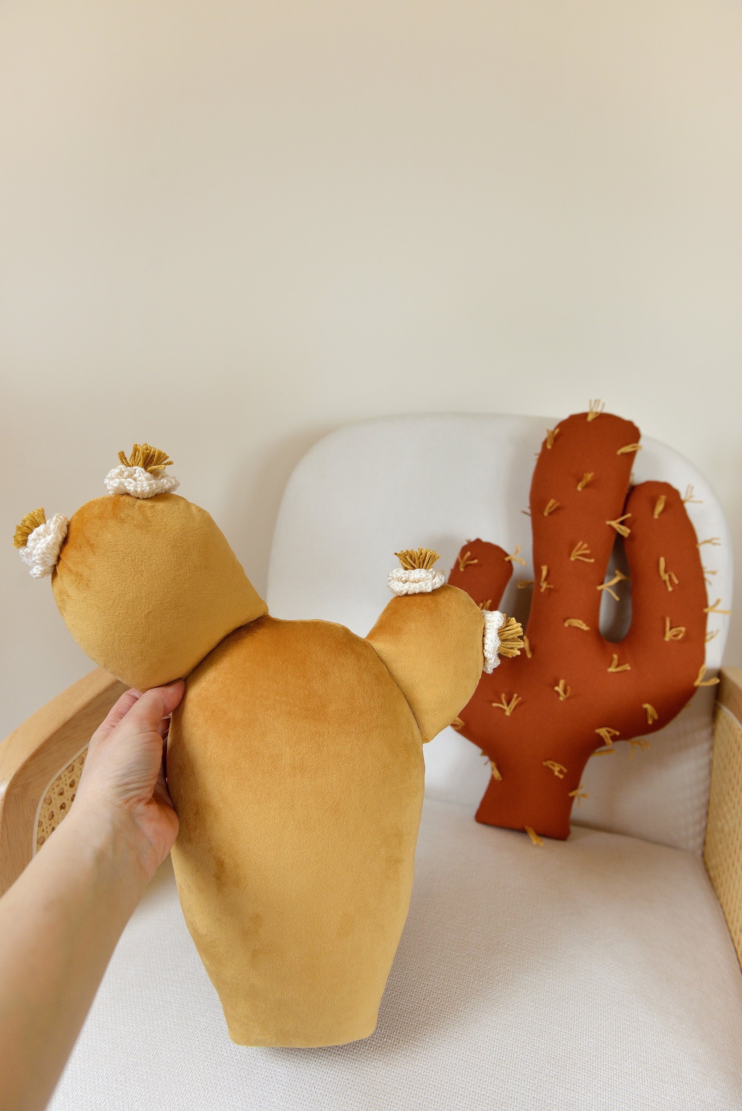 Cactus Pillow Set