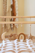 Rainbow Play Gym Toys