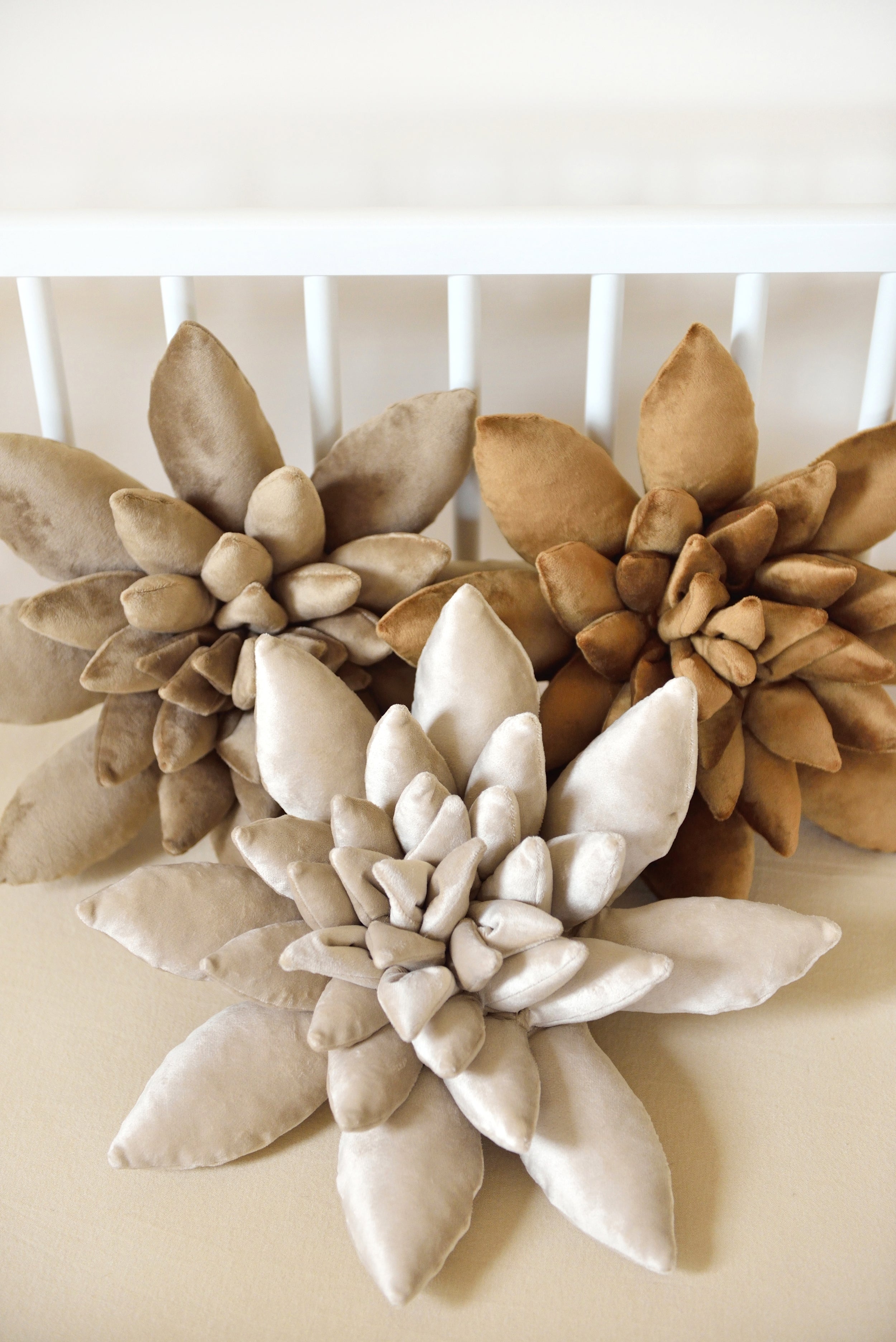 Succulent Decor Pillow