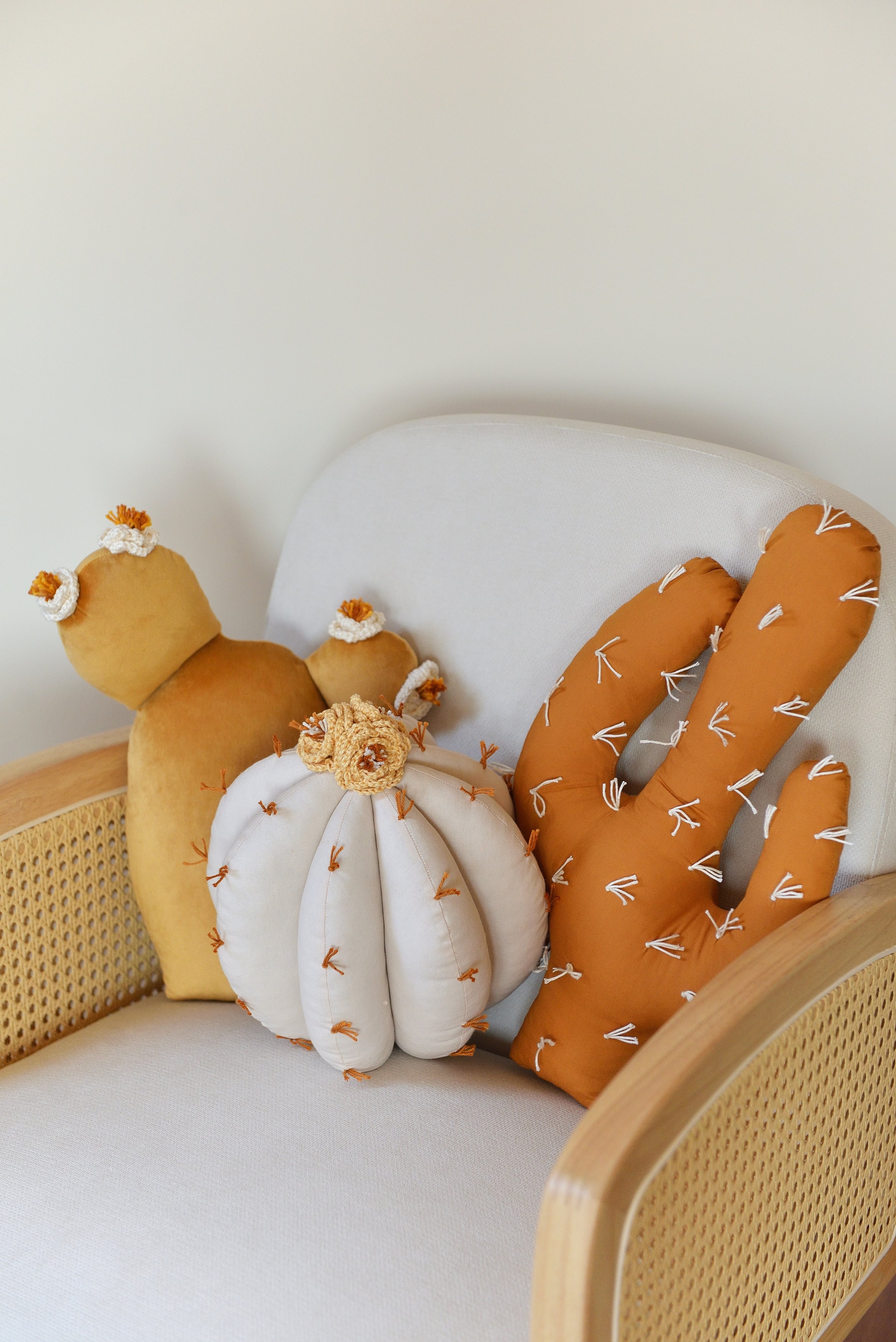 Cactus Pillow Set