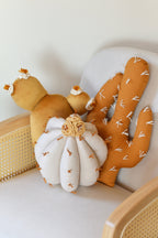 Cactus Pillow Set