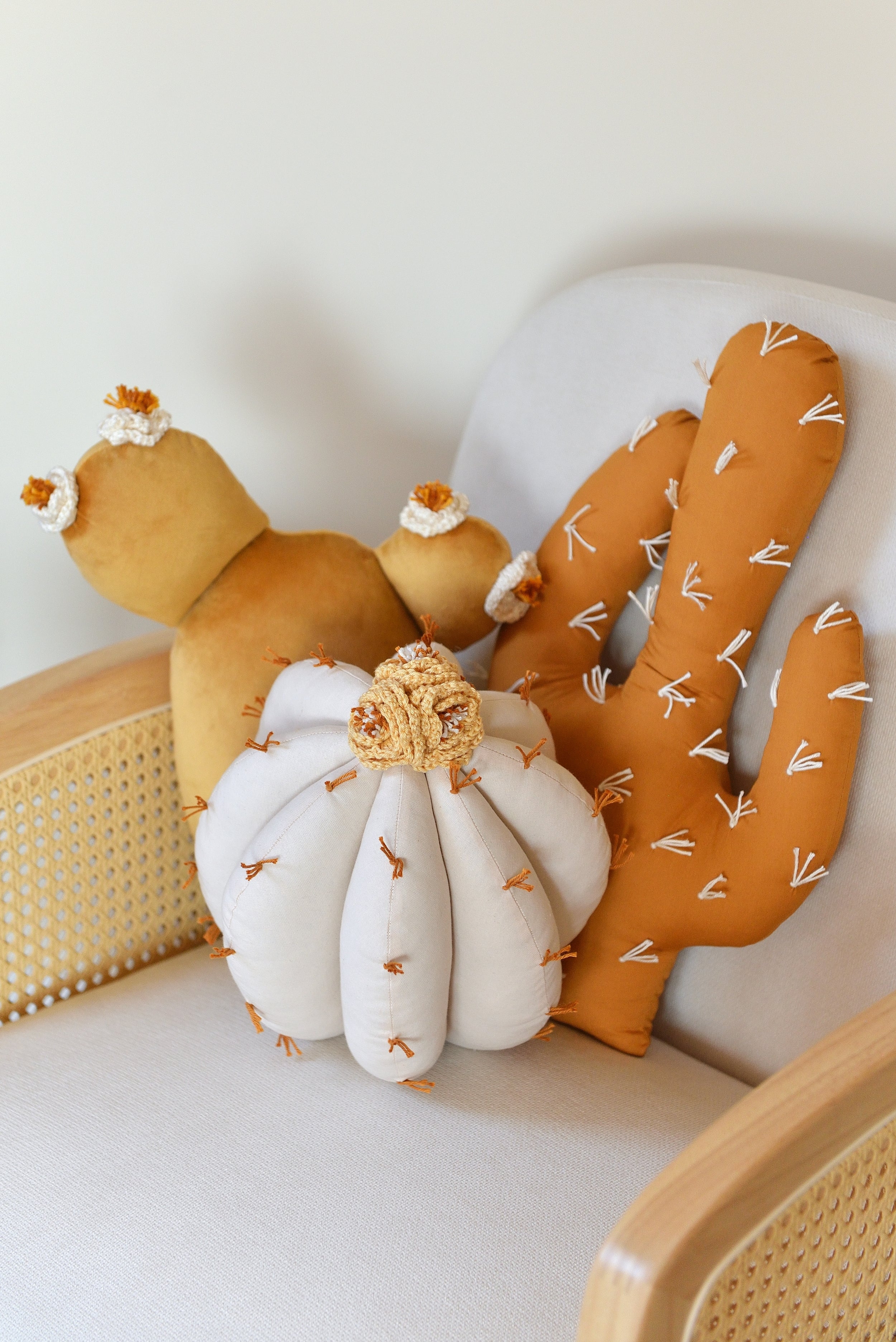 Cactus Pillow Set