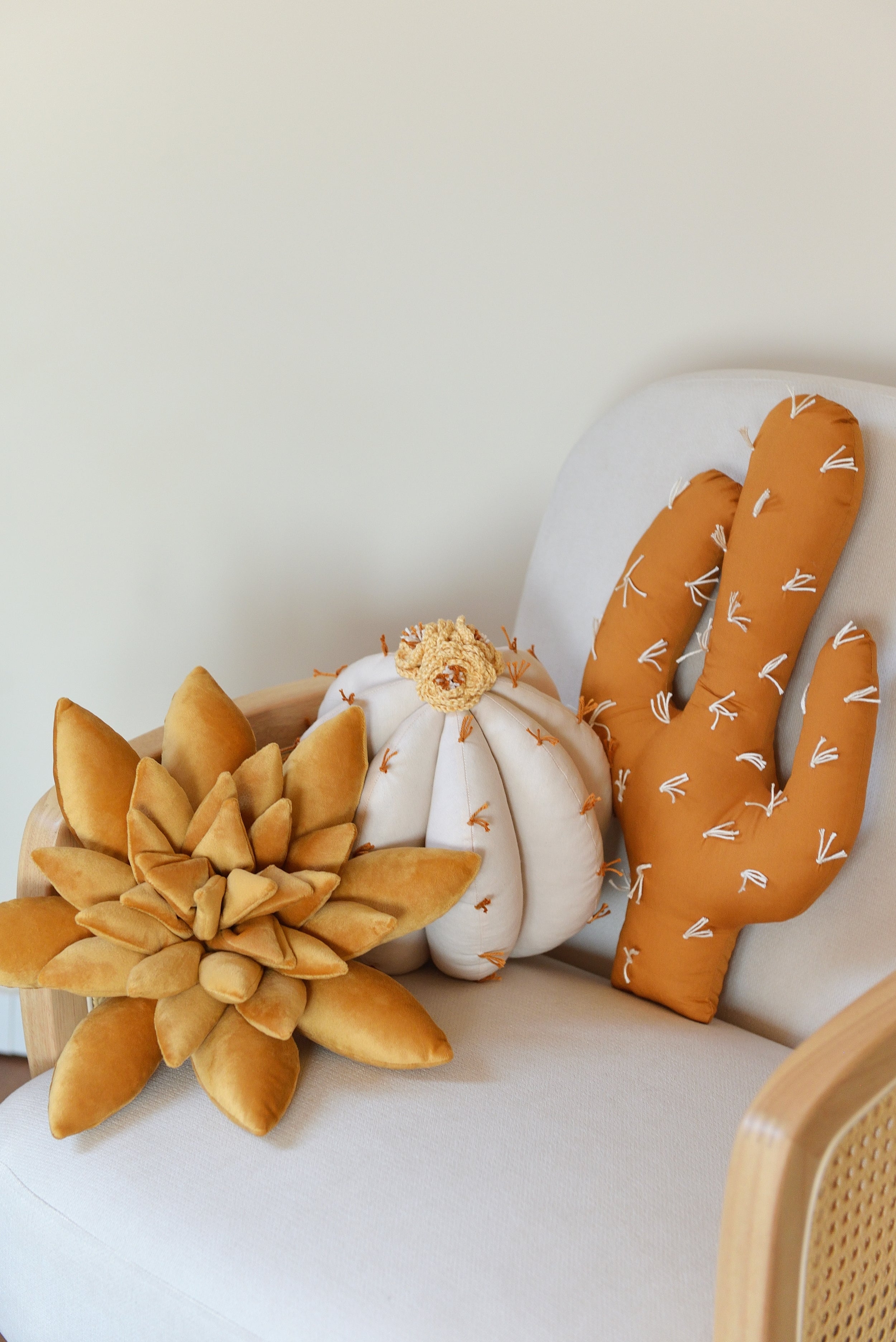 Cactus Pillow Set