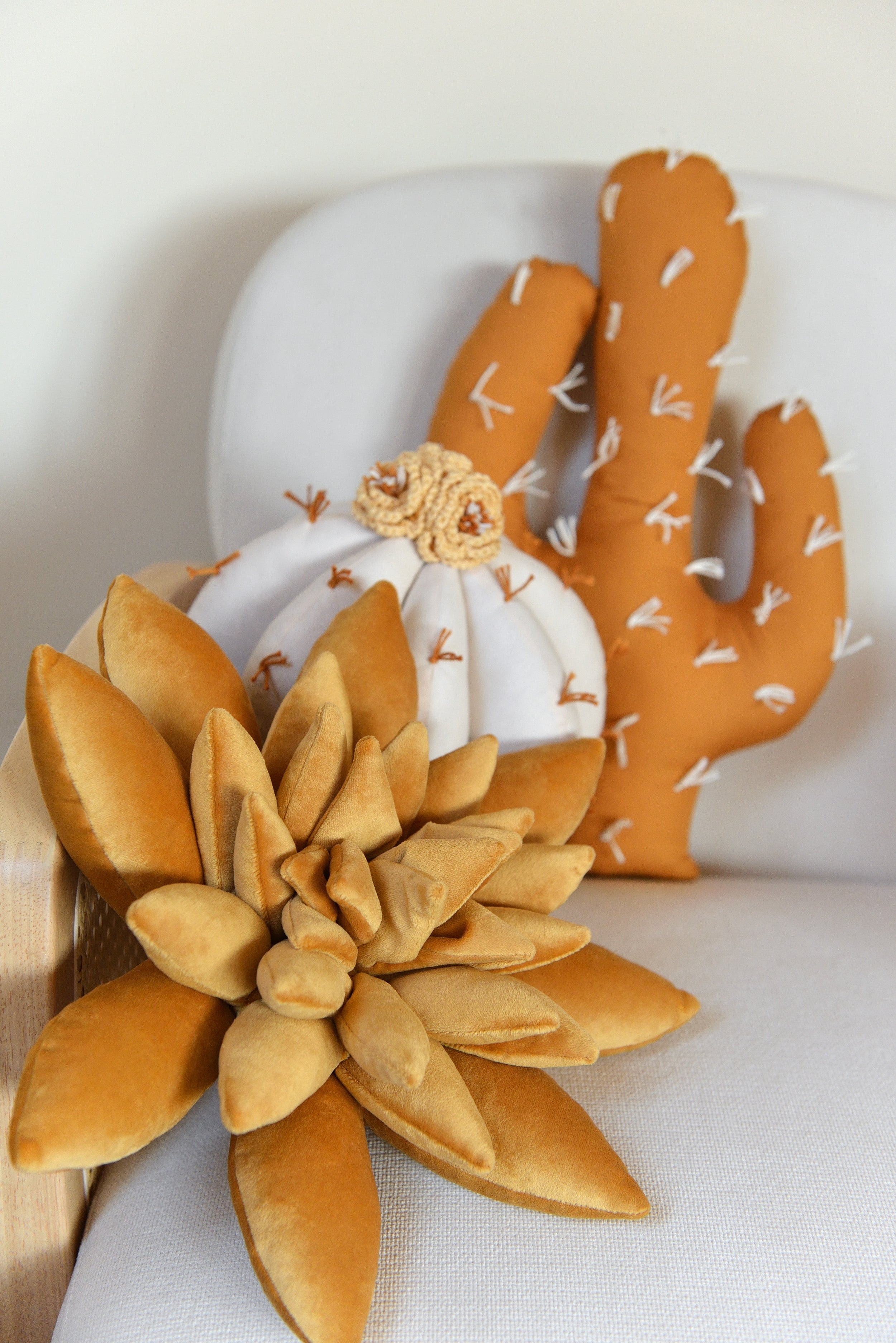 Cactus Pillow Set