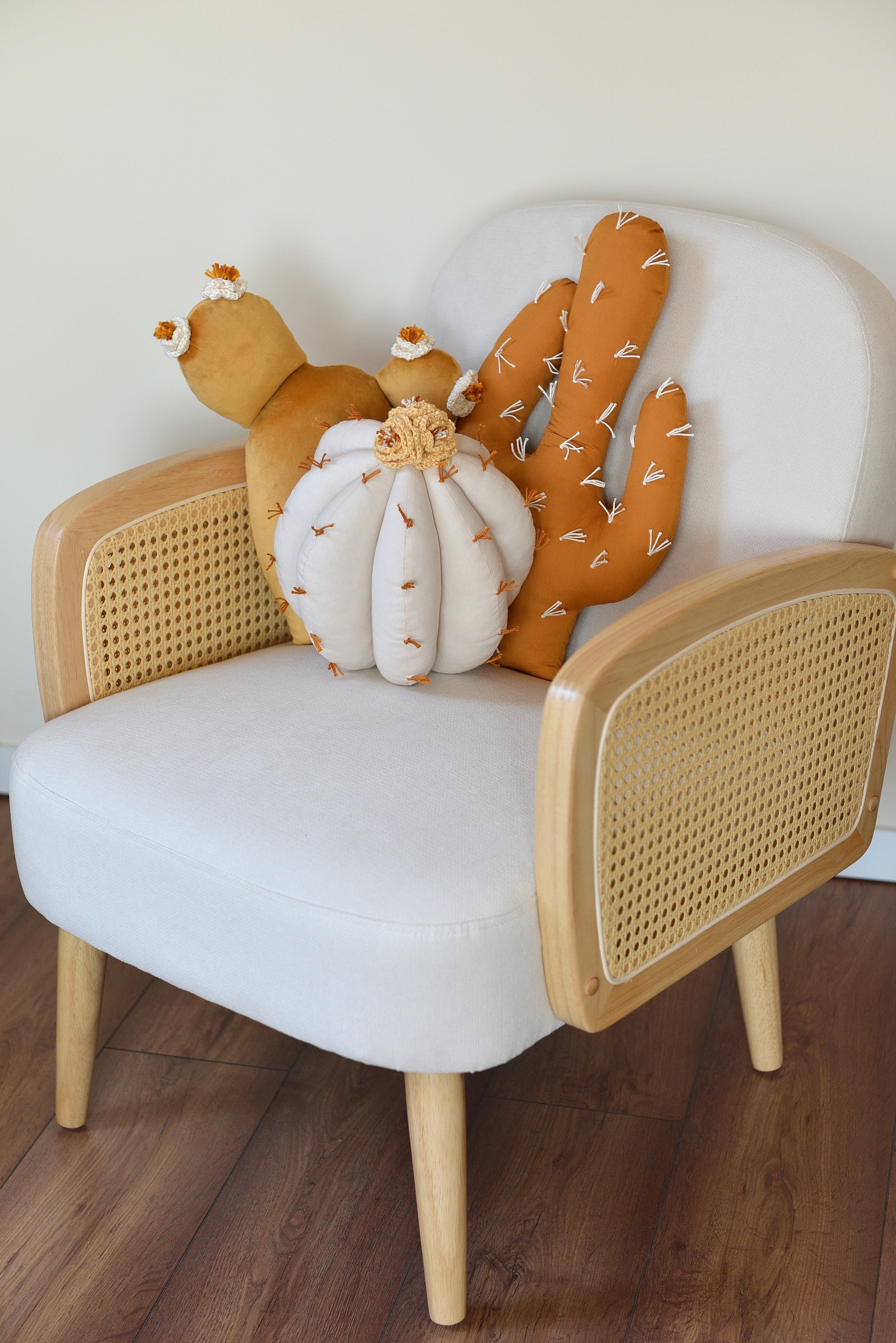 Cactus Pillow Set