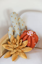 Cactus Pillow Set
