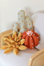 Cactus Pillow Set