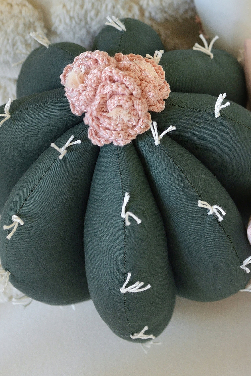 Cactus Decor Pillow