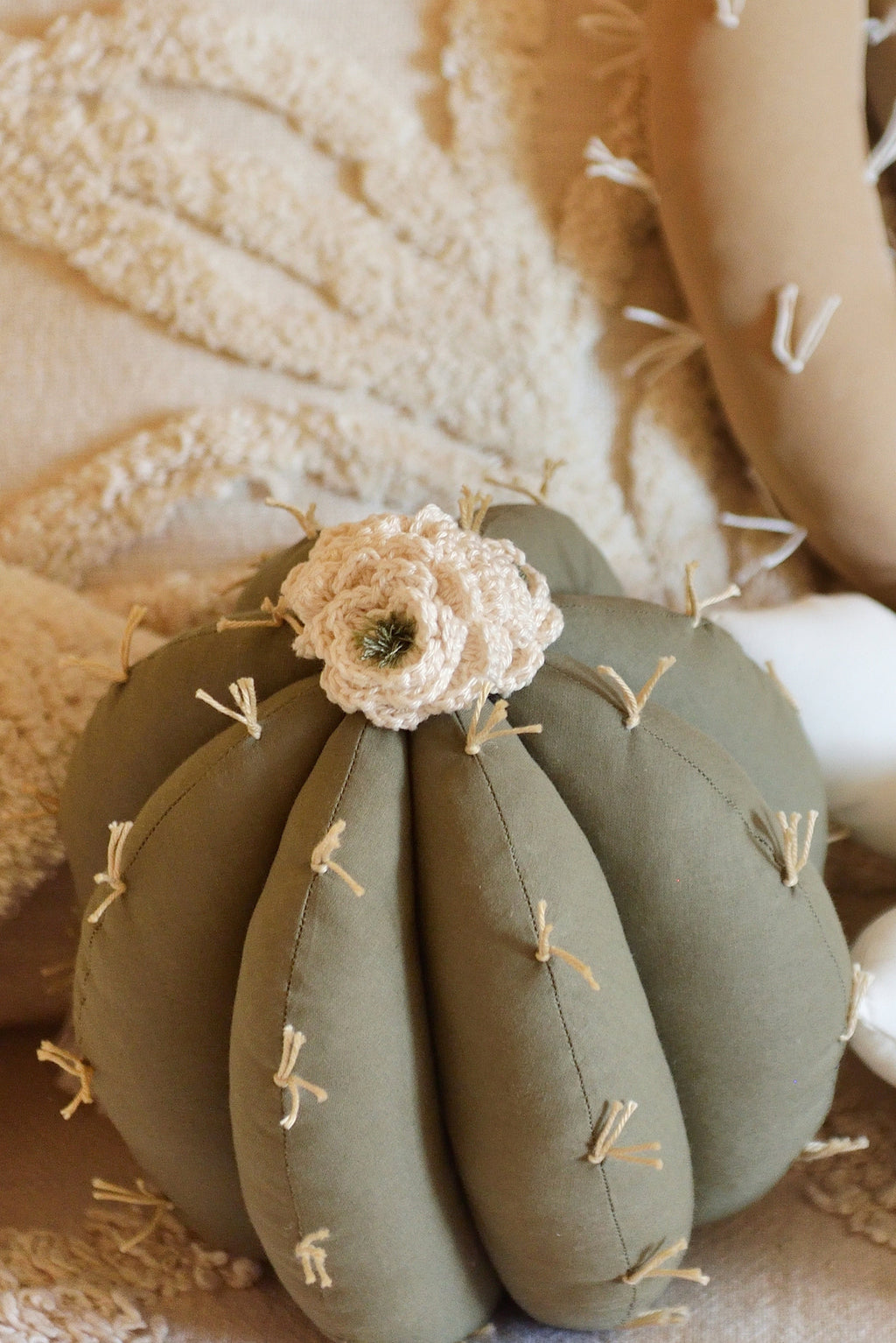 Cactus Decor Pillow