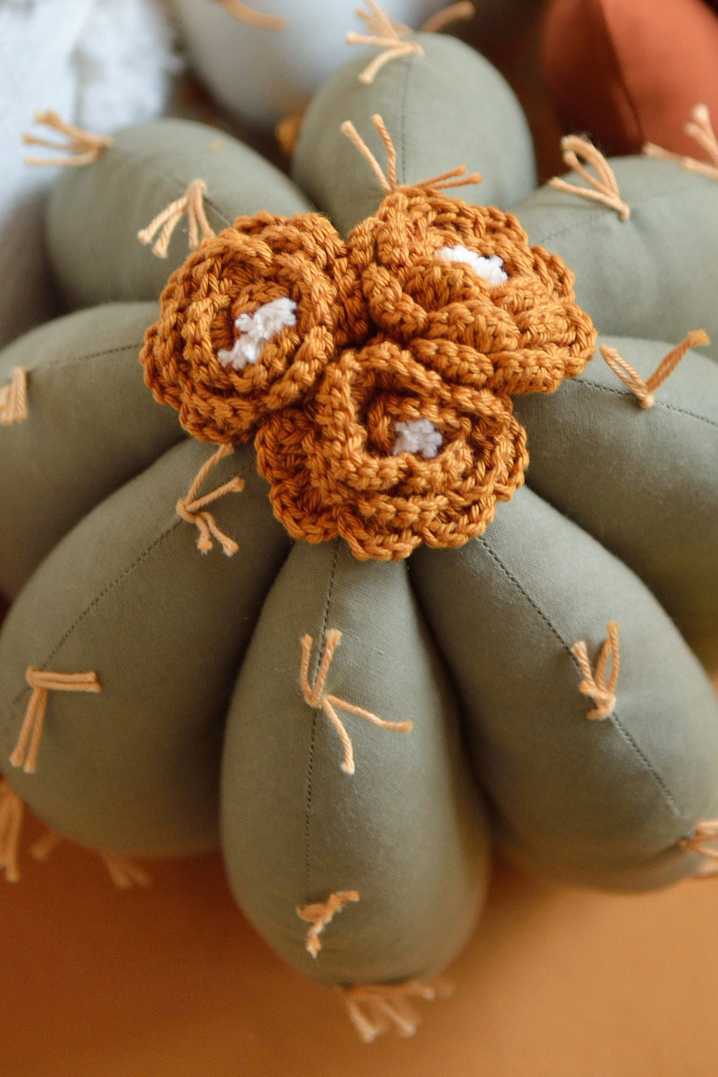 Cactus Decor Pillow
