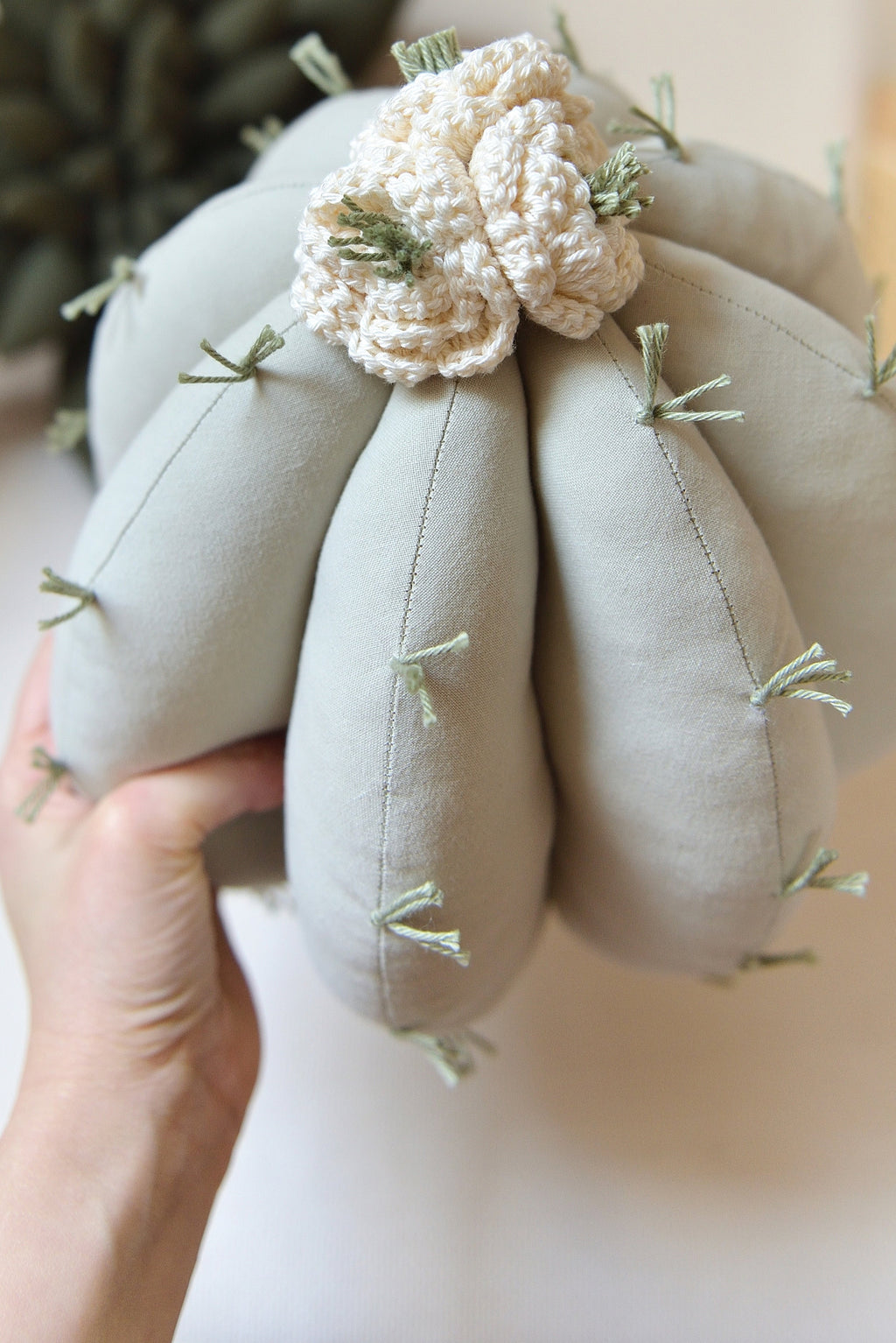 Cactus Decor Pillow