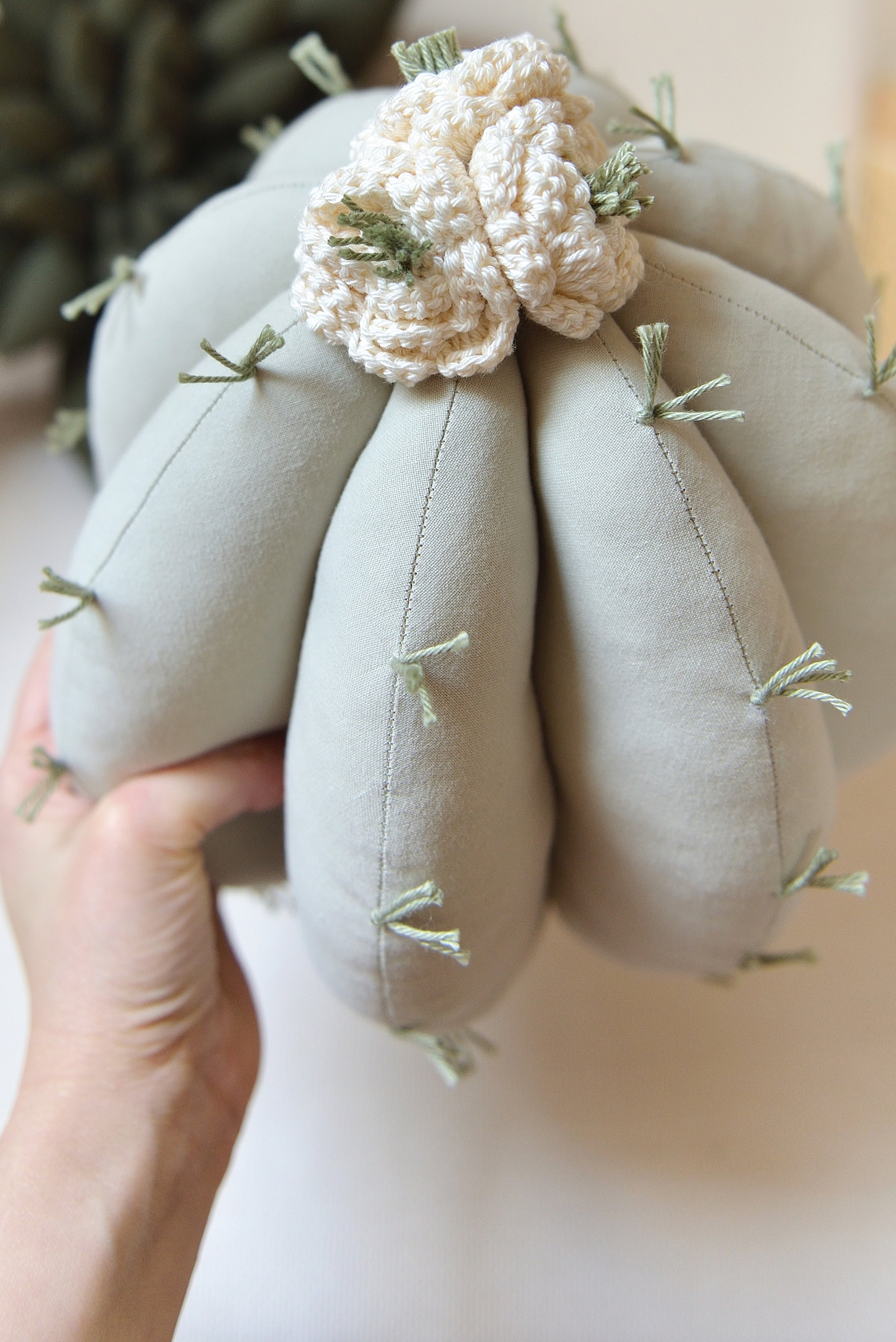 Cactus Decor Pillow