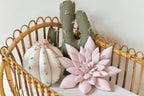 Cactus Pillow Set