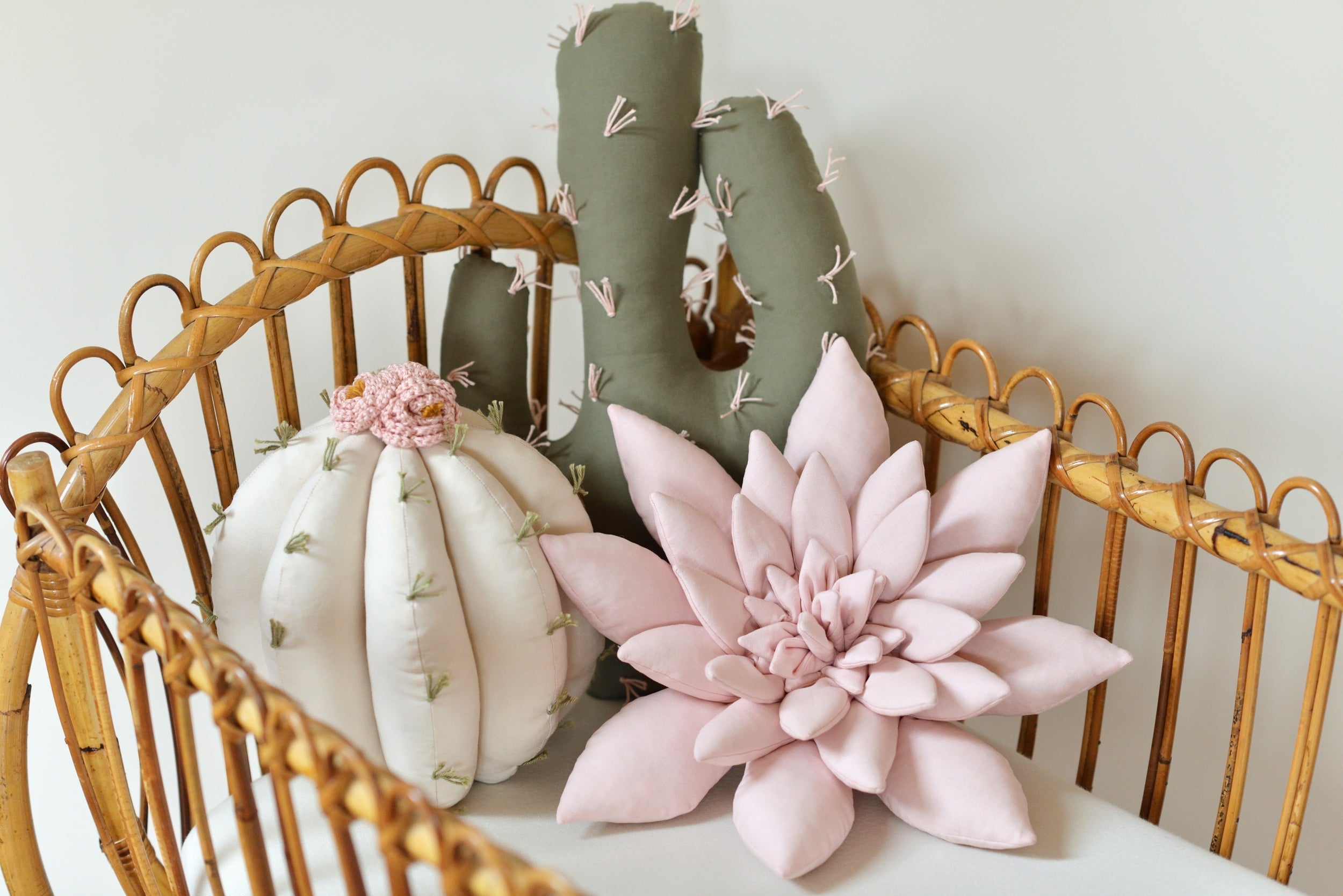 Cactus Pillow Set