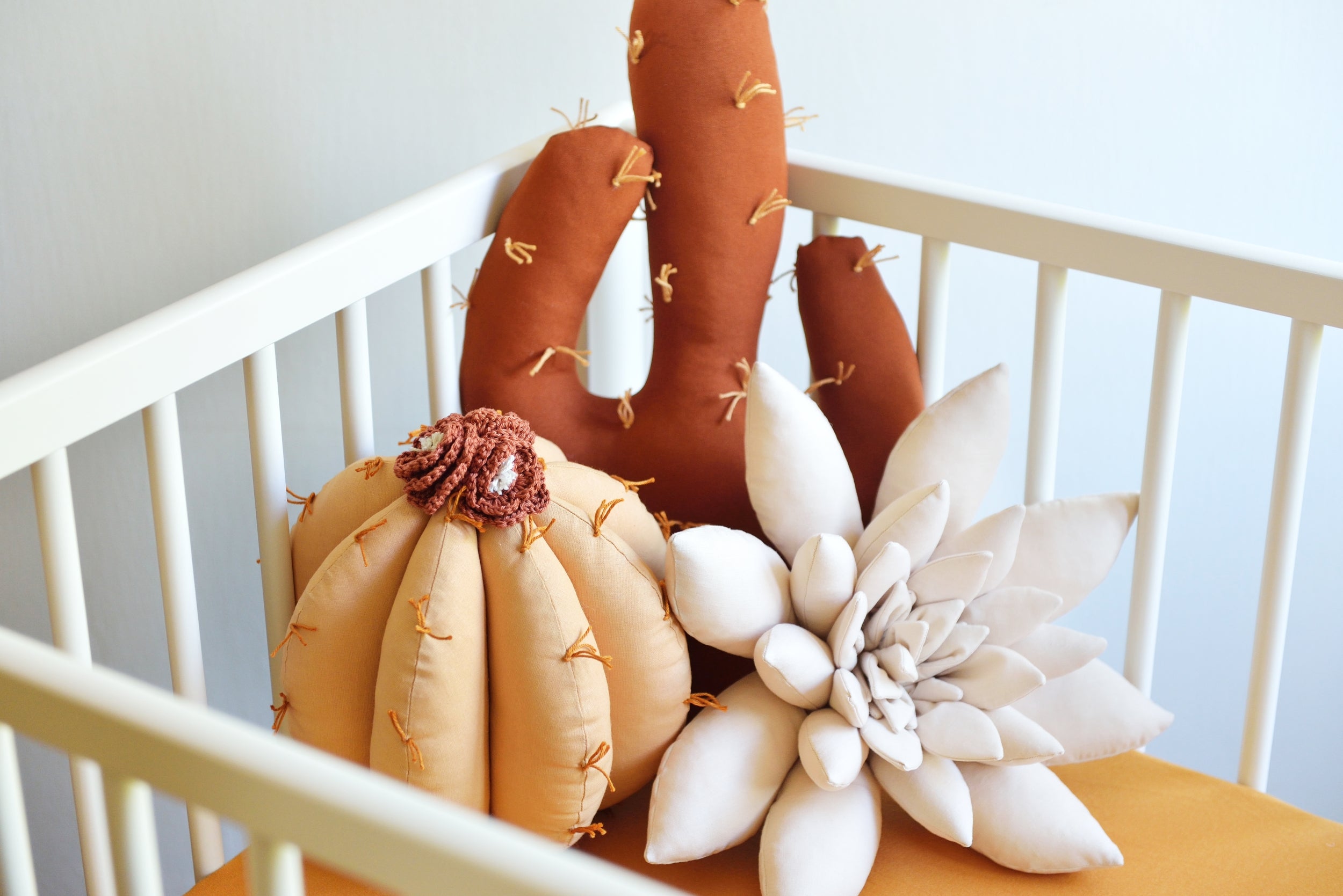 Cactus Pillow Set
