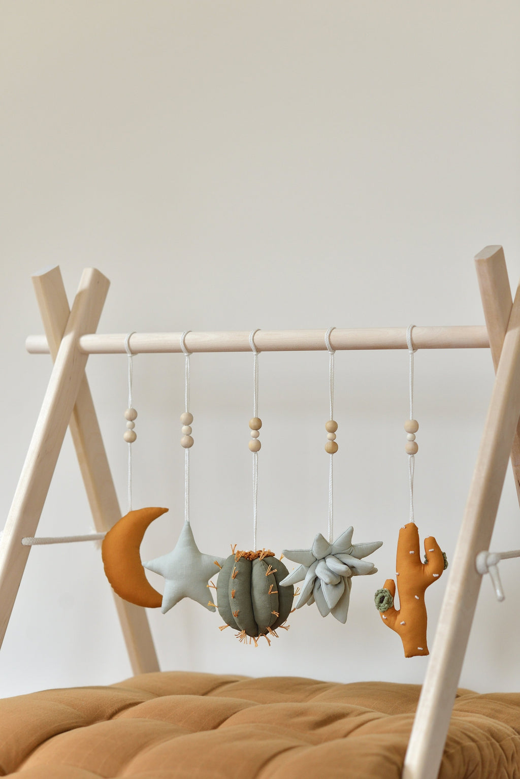 Rainbow Play Gym Toys