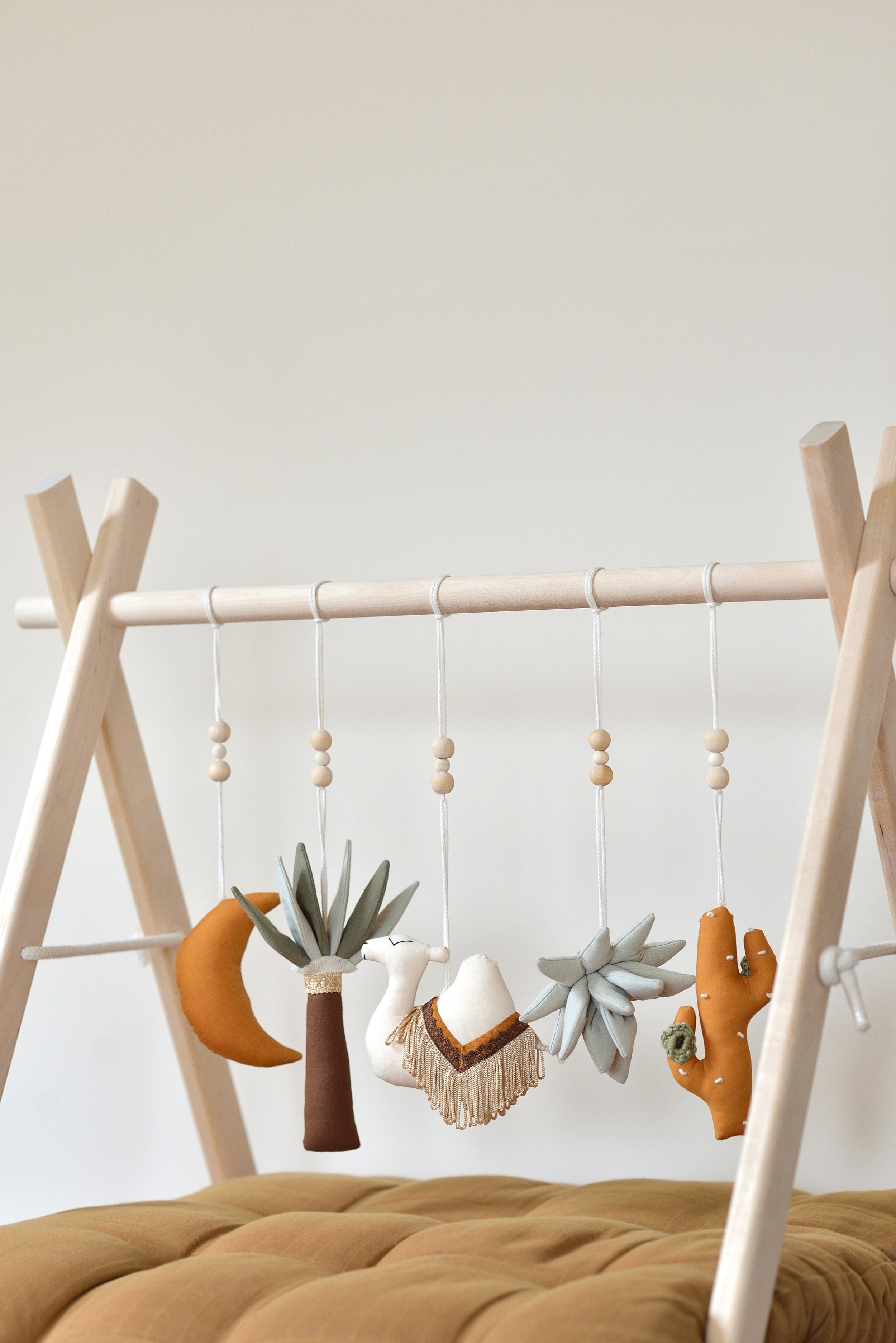 Rainbow Play Gym Toys