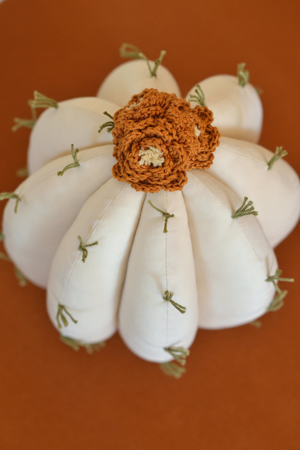 Cactus Decor Pillow