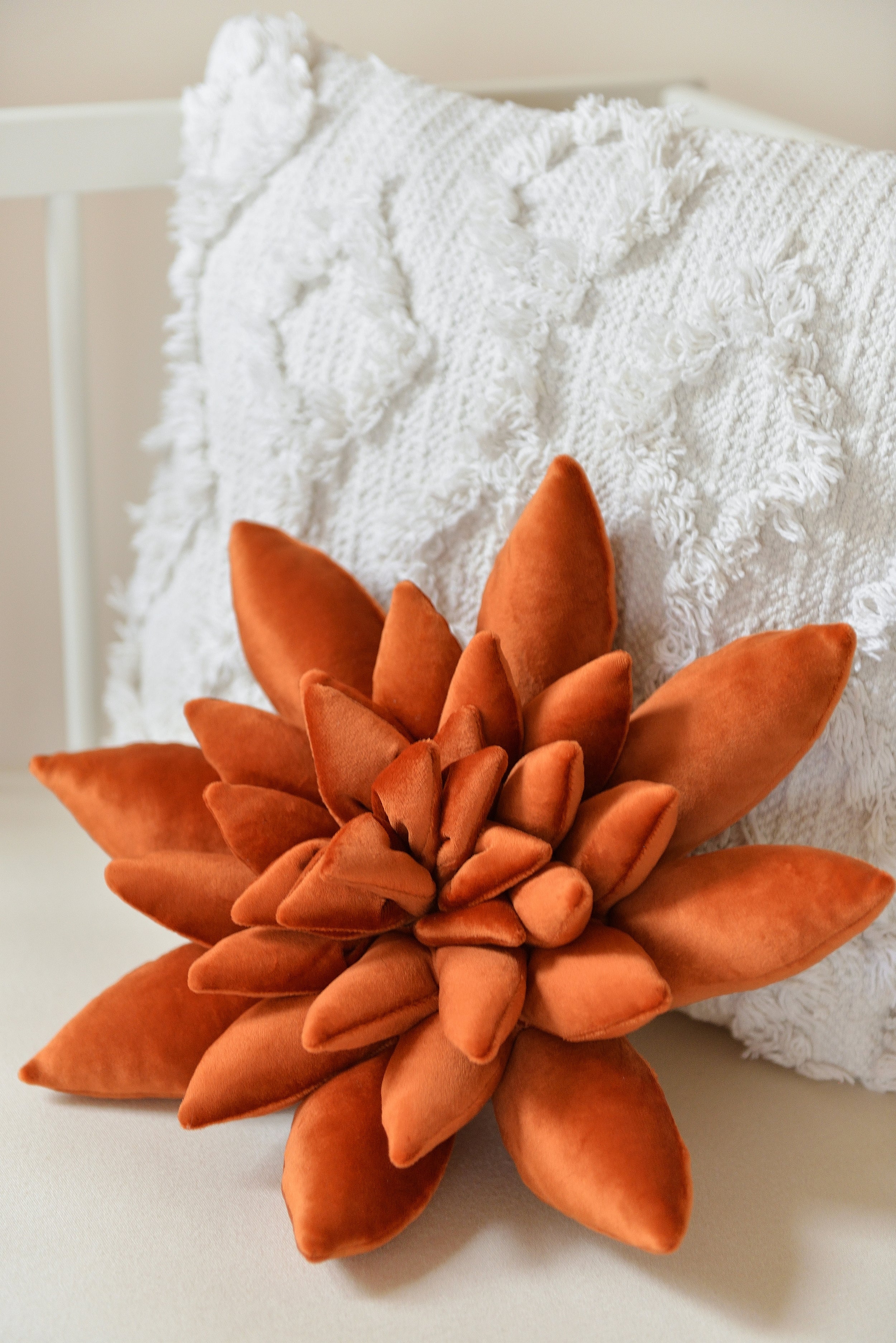 Succulent Decor Pillow