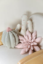 Cactus Pillow Set
