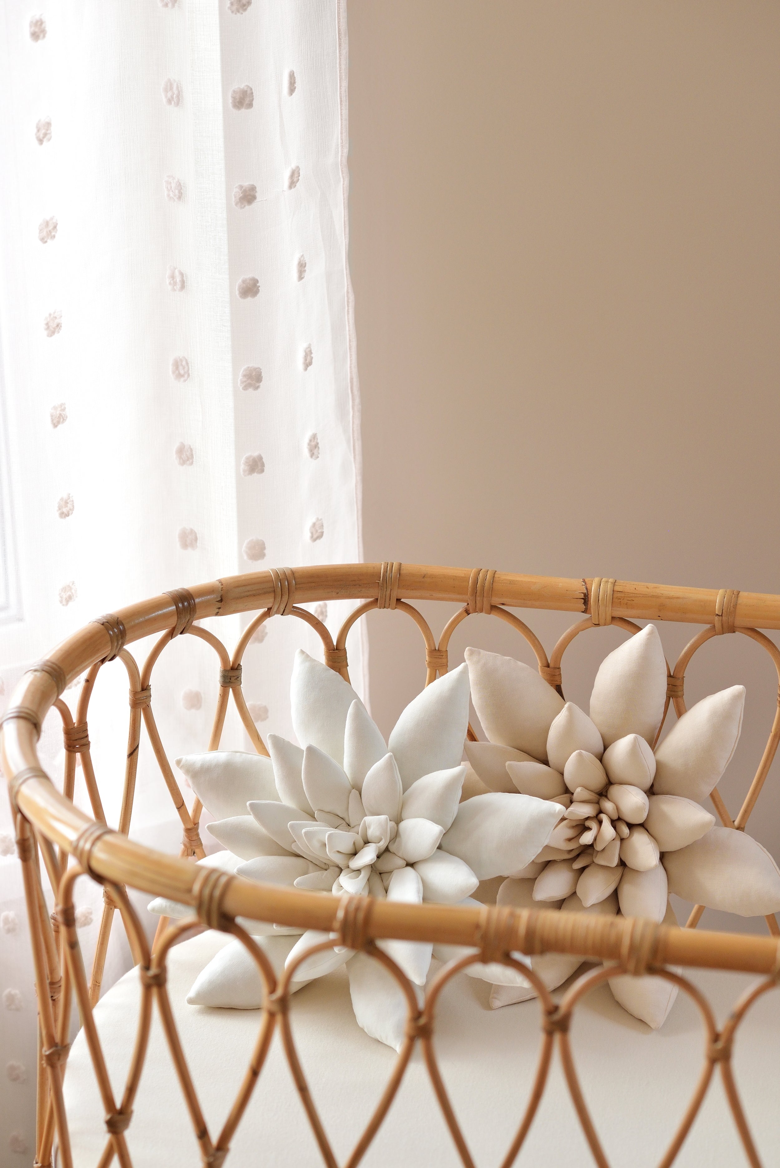 Succulent Decor Pillow