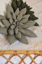 Succulent Decor Pillow