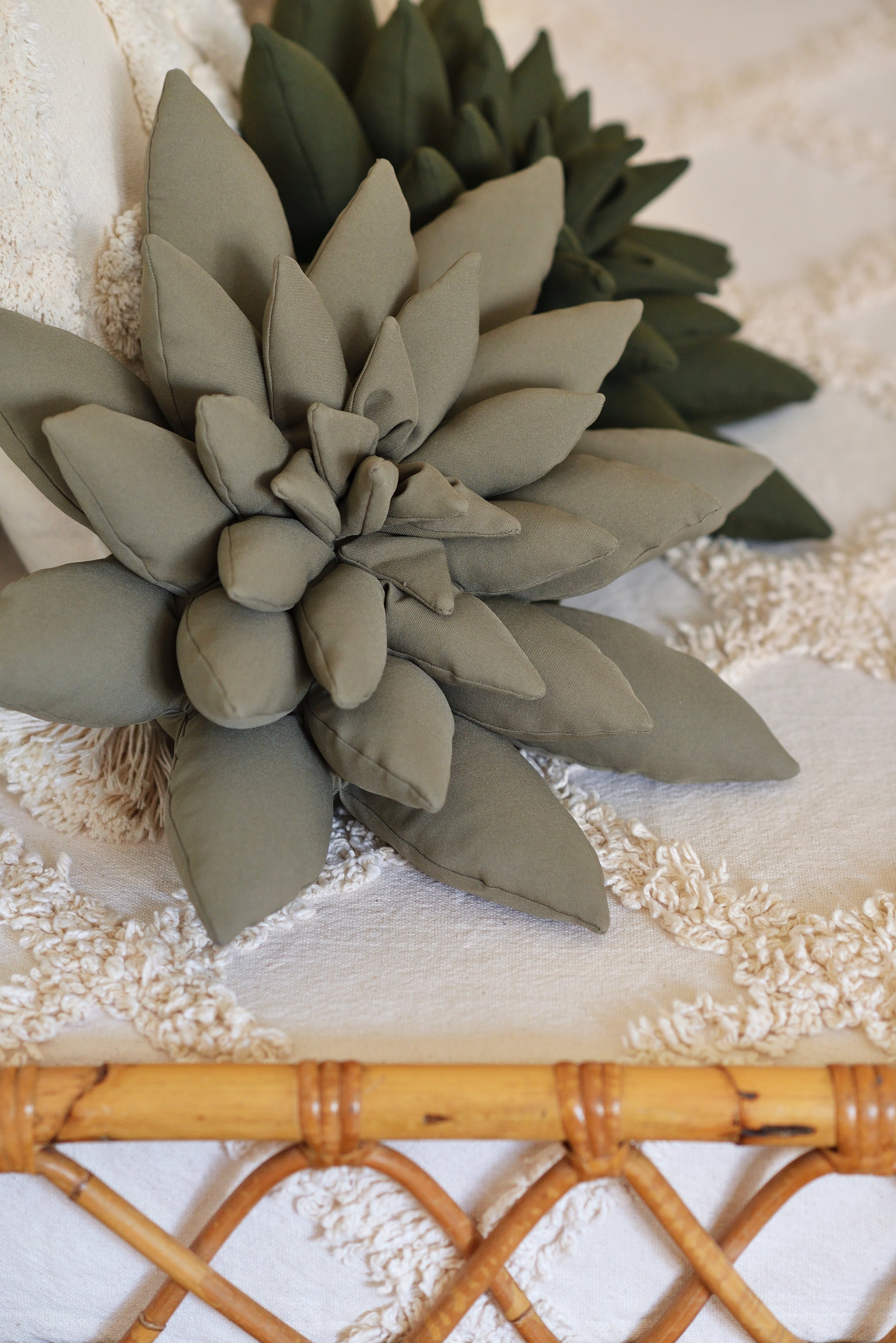 Succulent Decor Pillow