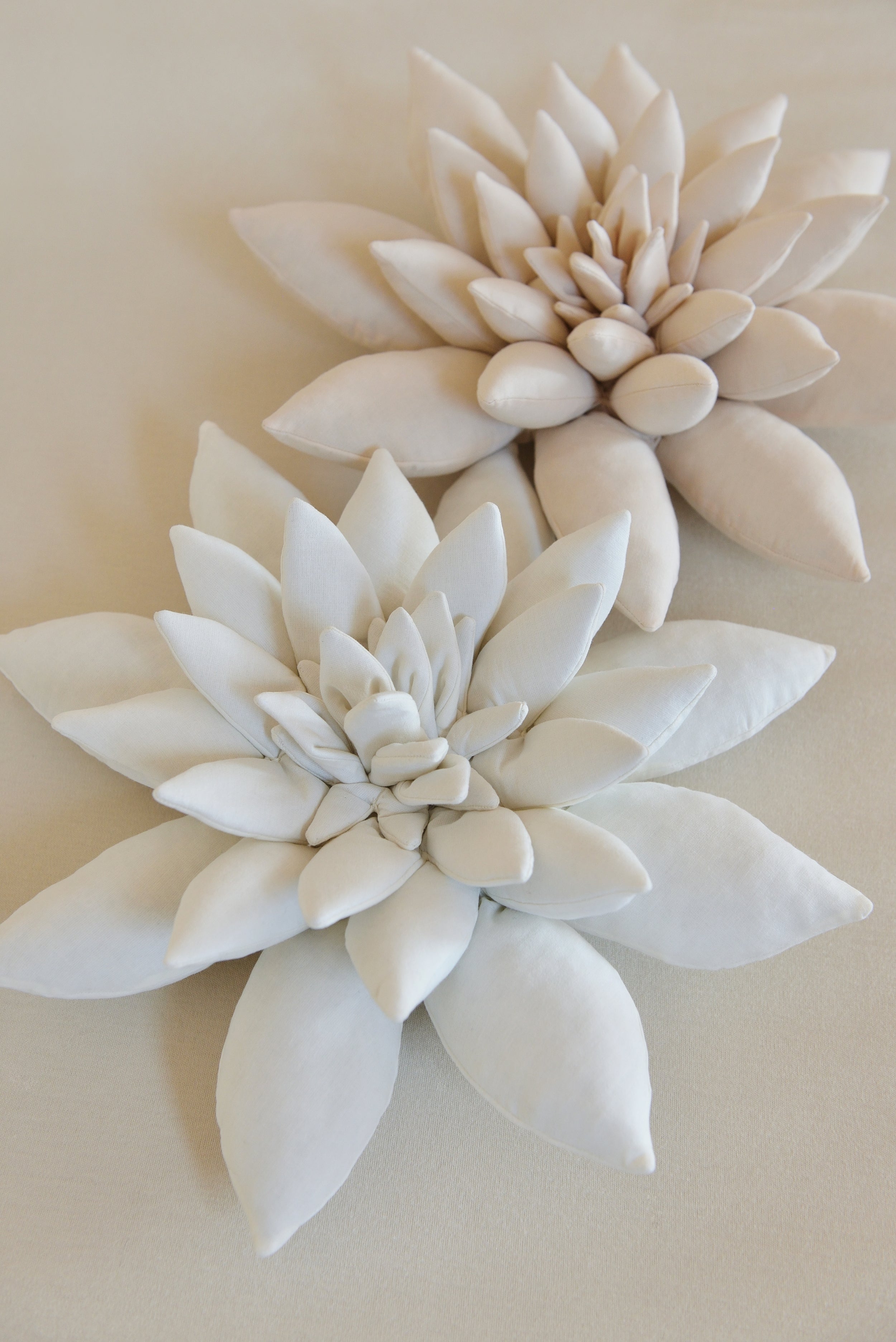 Succulent Decor Pillow