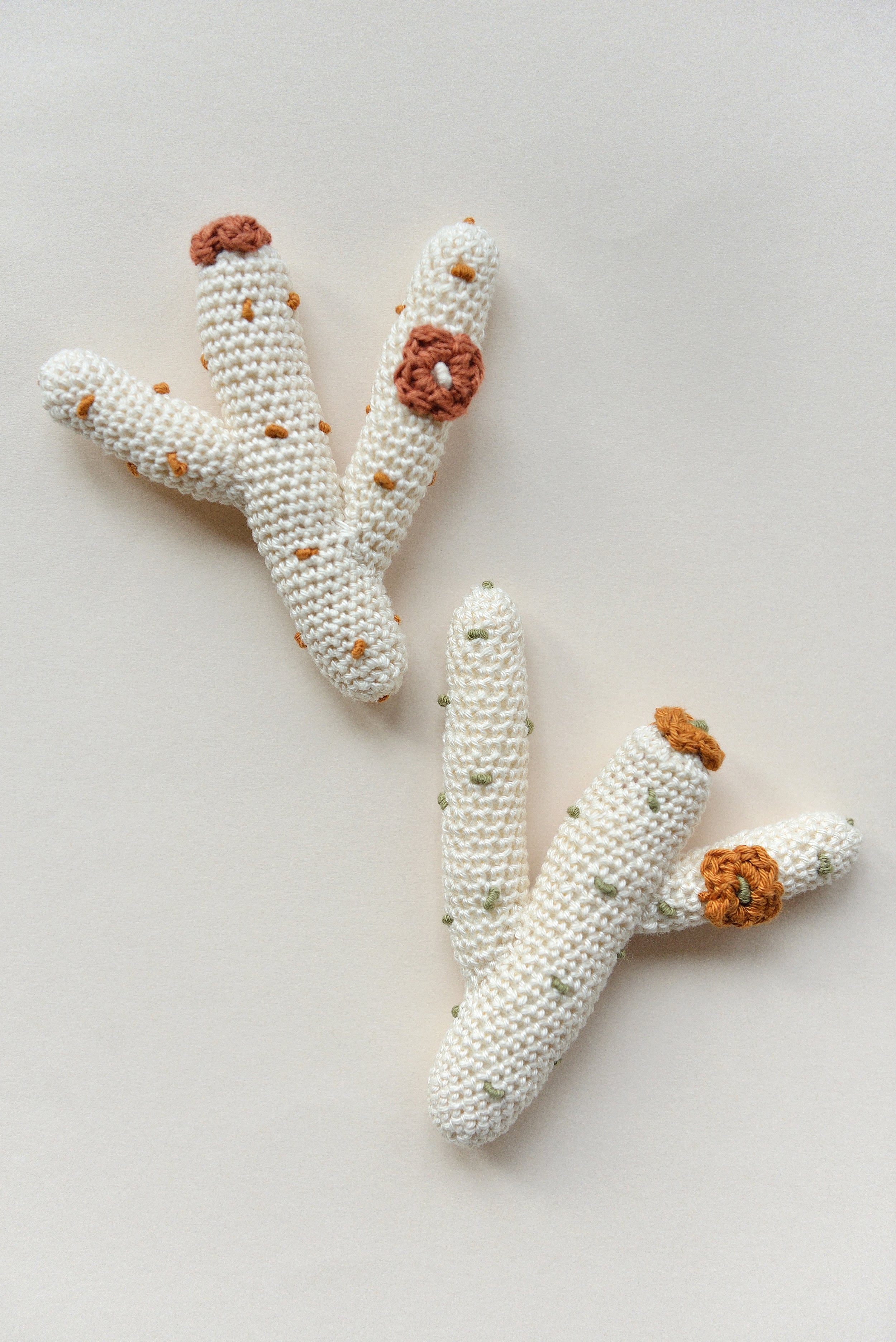 Desert Rattle Toy