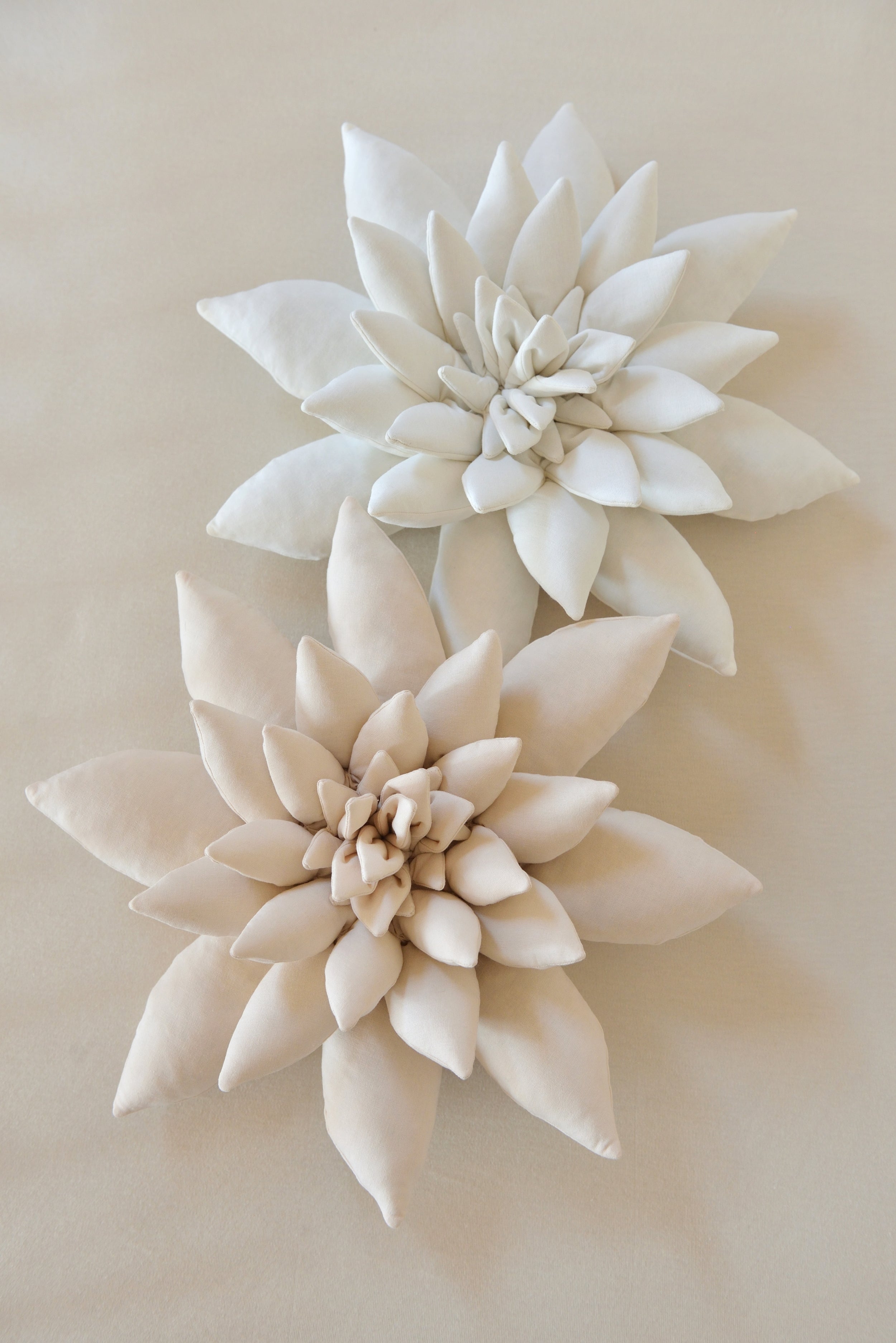 Succulent Decor Pillow
